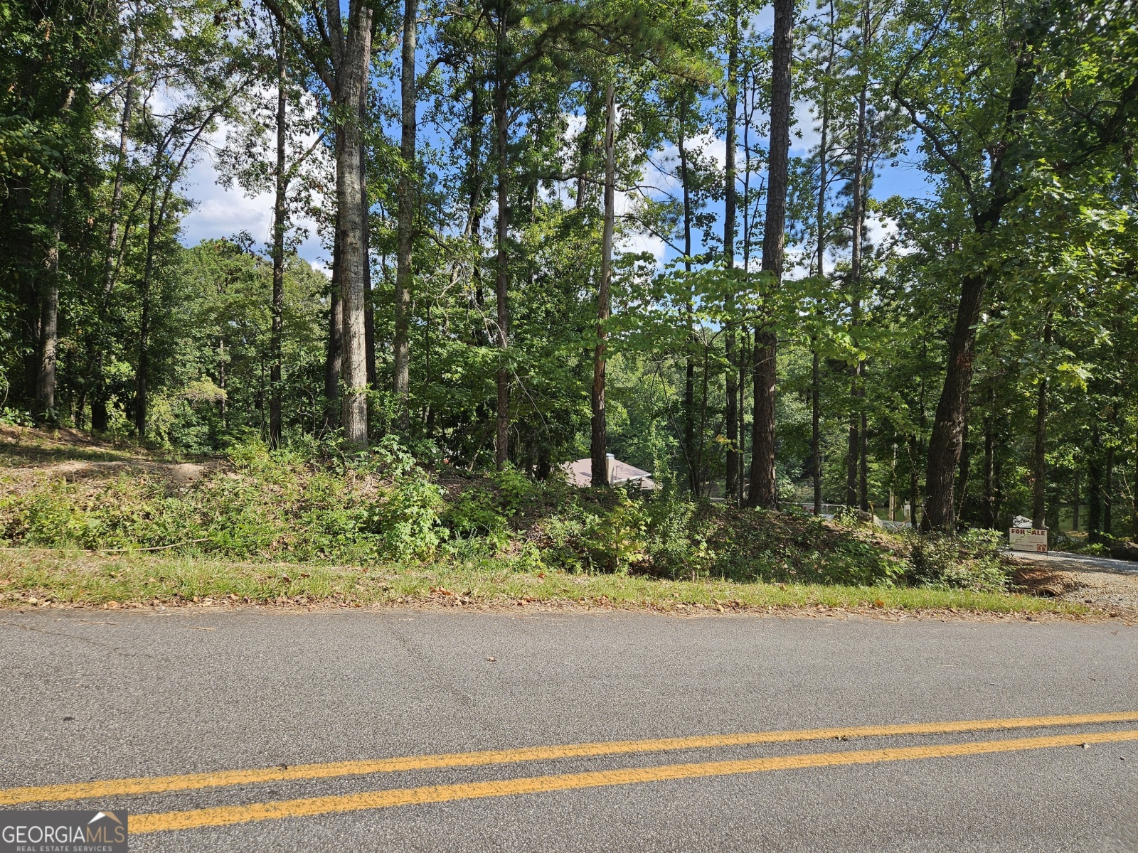 0 Sturges Road, Fortson, Georgia 31808, ,Land,For Sale,Sturges,9136293