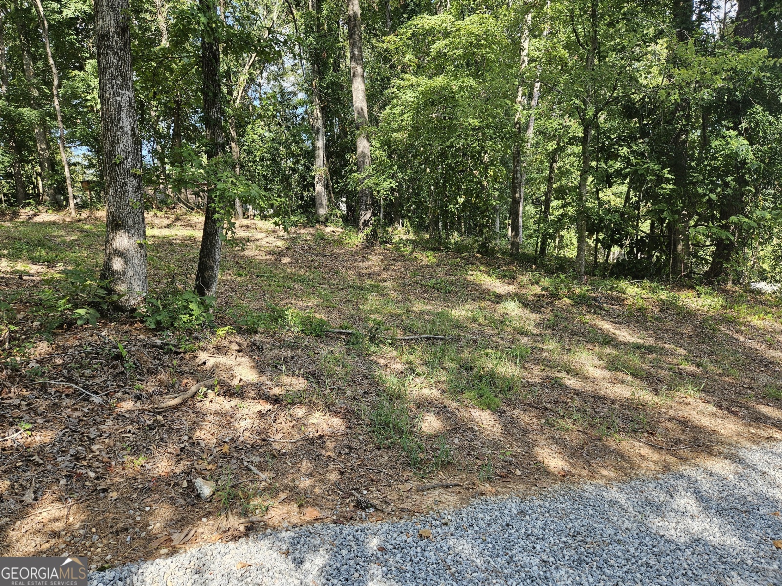 0 Sturges Road, Fortson, Georgia 31808, ,Land,For Sale,Sturges,9136293