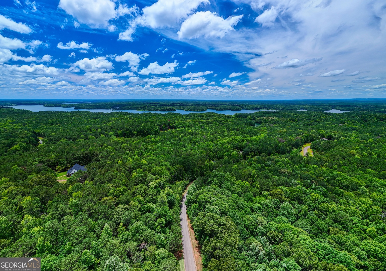 0 River Club, Lagrange, Georgia 30241, ,Land,For Sale,River Club,9136476