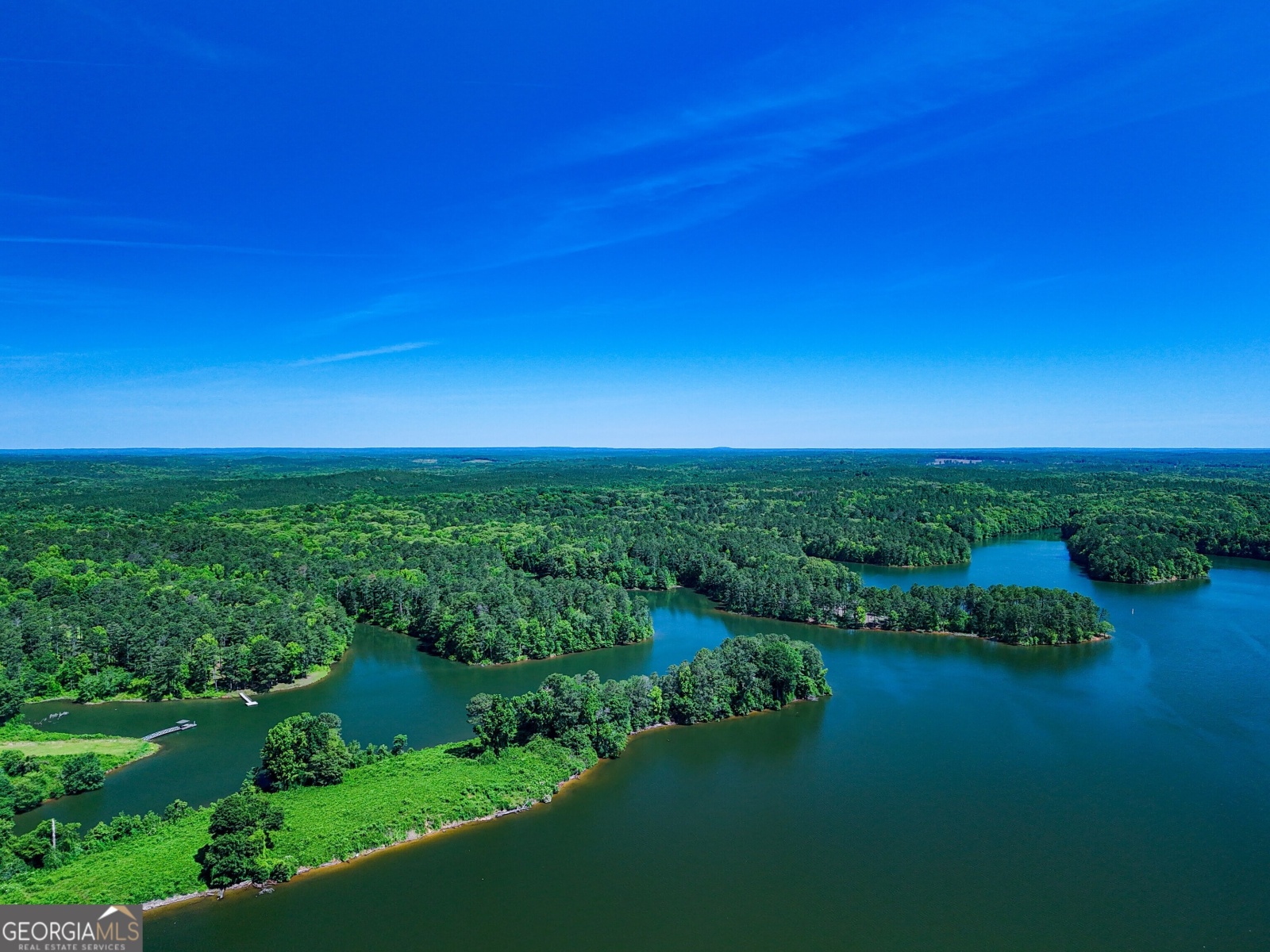 0 River Club, Lagrange, Georgia 30241, ,Land,For Sale,River Club,9136476