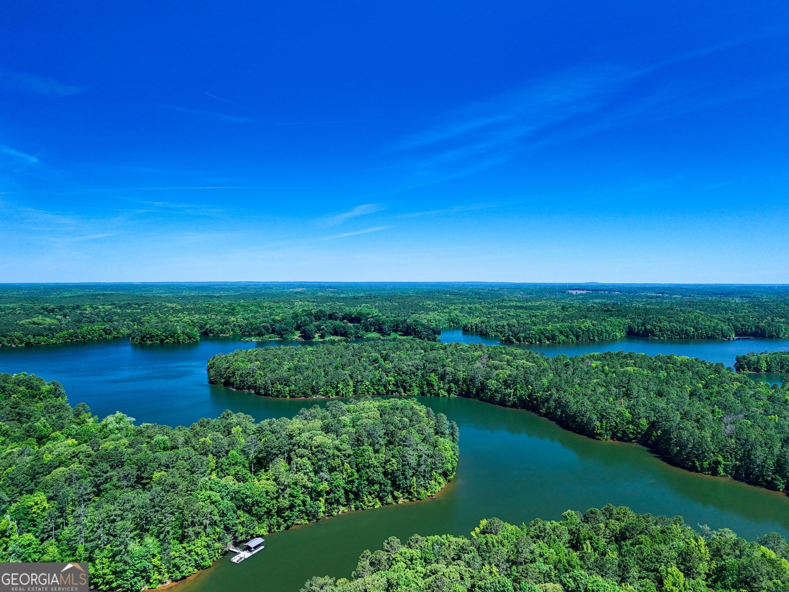 0 River Club, Lagrange, Georgia 30241, ,Land,For Sale,River Club,9136476