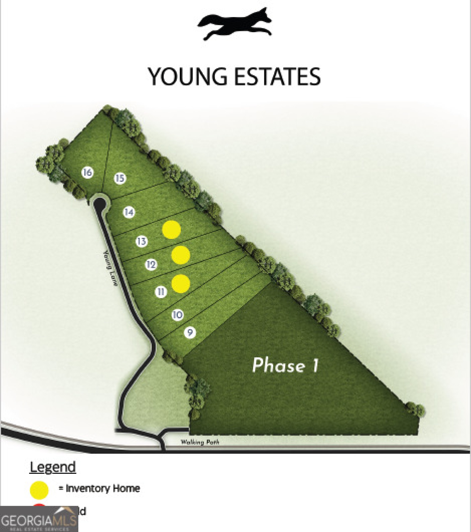 LOT 16 Young Lane, Hamilton, Georgia 31811, ,Land,For Sale,Young,9136486