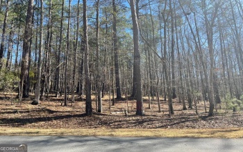 LOT 149 Piedmont Lake Road, Pine Mountain, Georgia 31822, ,Land,For Sale,Piedmont Lake,9136782