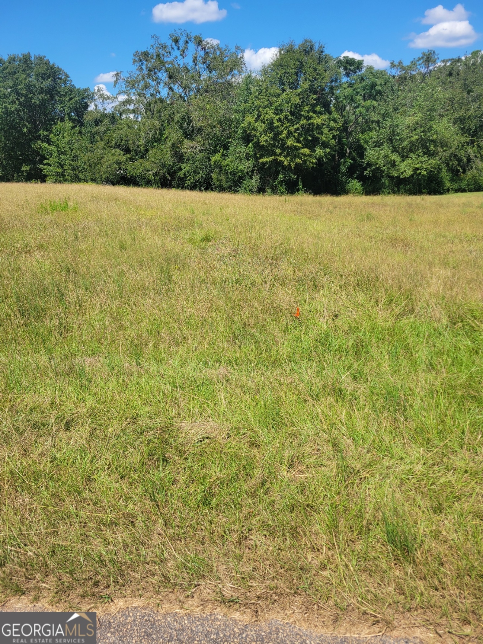 0 Hearn Road, LaGrange, Georgia 30240, ,Land,For Sale,Hearn,9136966