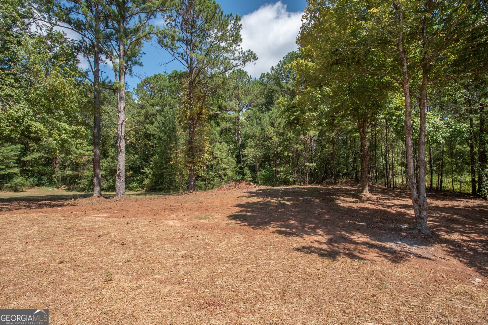 243 Sanders Road, Lagrange, Georgia 30240, 3 Bedrooms Bedrooms, ,2 BathroomsBathrooms,Residential,For Sale,Sanders,9136991