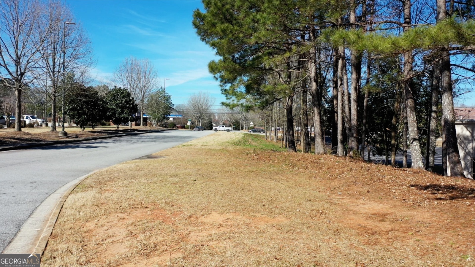 0 Highway 29 N, Newnan, Georgia 30263, ,Commercial Sale,For Sale,Highway 29 N,9136999