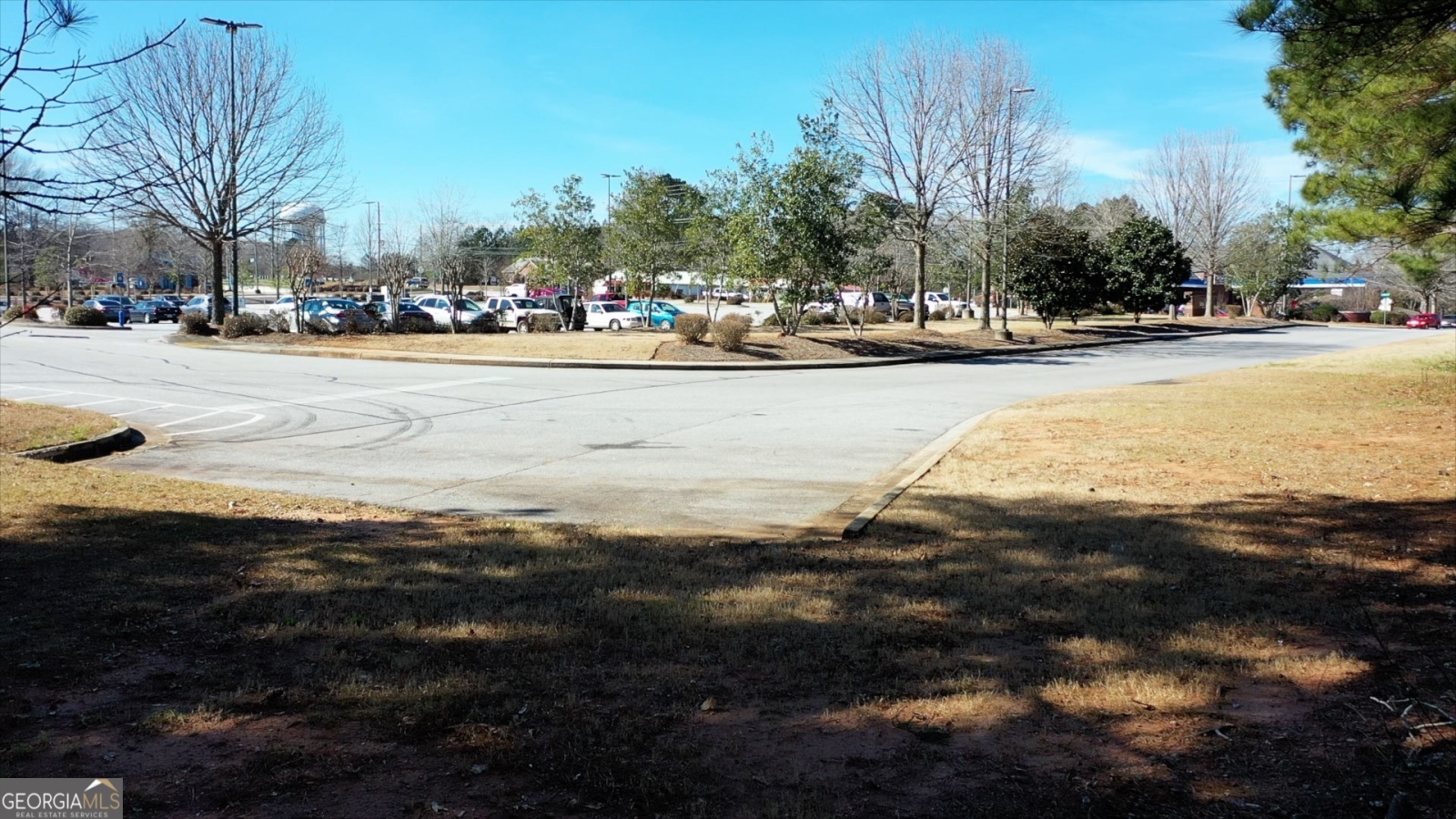 0 Highway 29 N, Newnan, Georgia 30263, ,Commercial Sale,For Sale,Highway 29 N,9136999