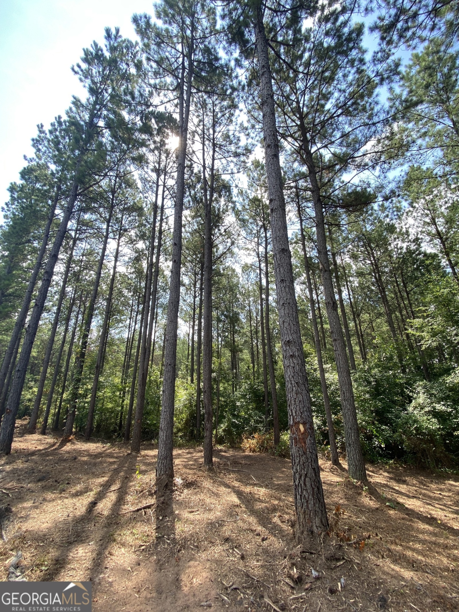 0 Blue Cr Rd, Hogansville, Georgia 30230, ,Land,For Sale,Blue Cr Rd,9137148