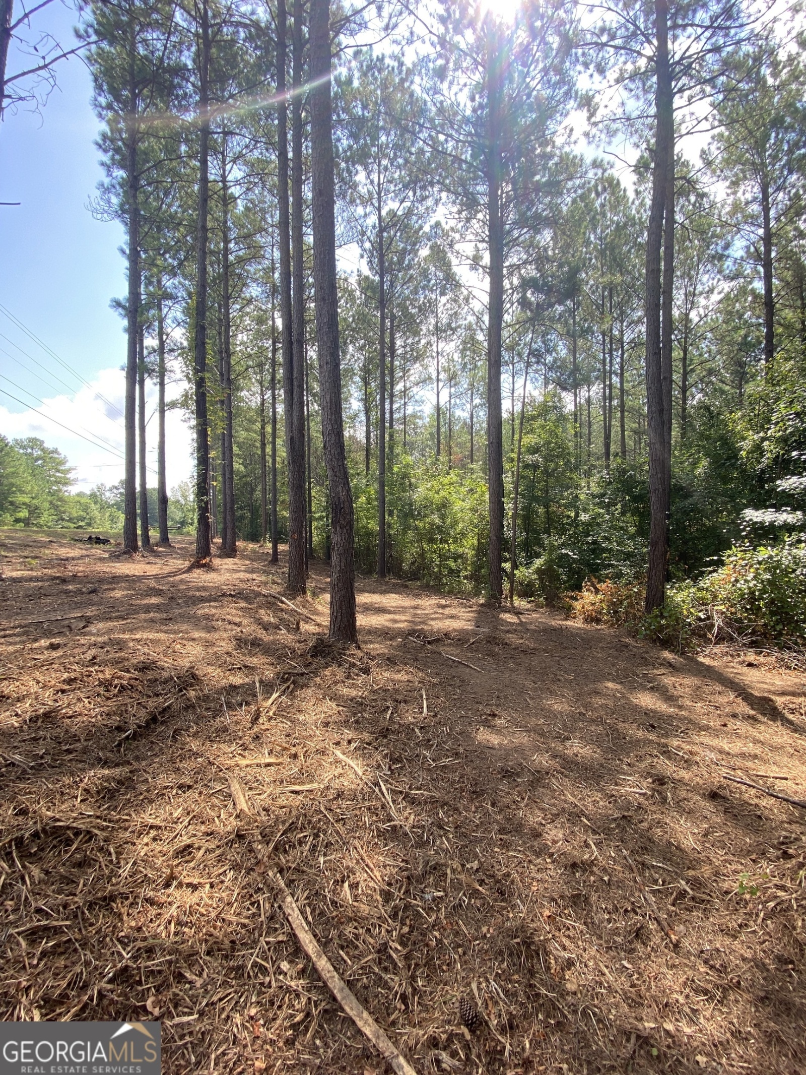 0 Blue Cr Rd, Hogansville, Georgia 30230, ,Land,For Sale,Blue Cr Rd,9137148