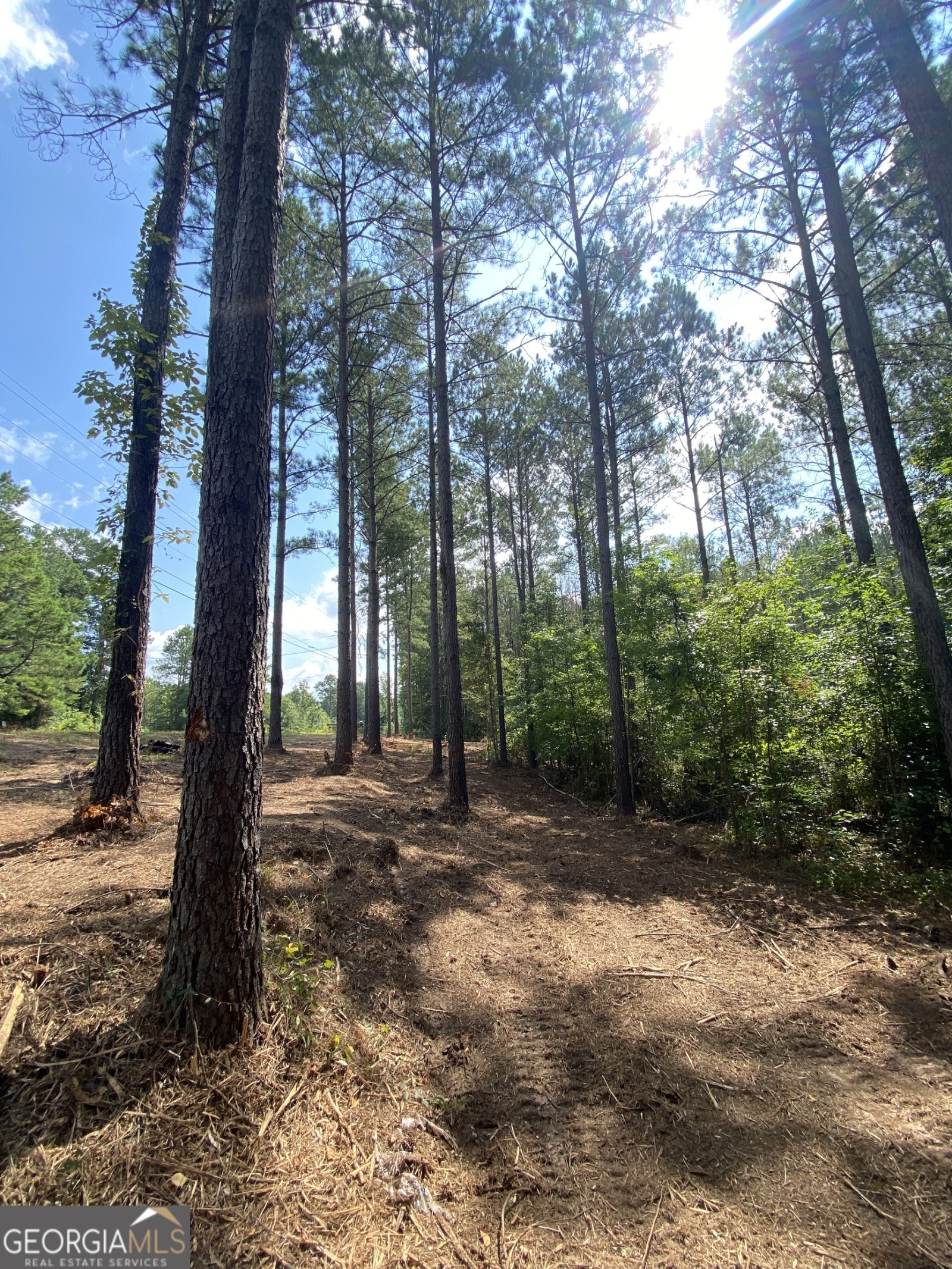 0 Blue Cr Rd, Hogansville, Georgia 30230, ,Land,For Sale,Blue Cr Rd,9137148