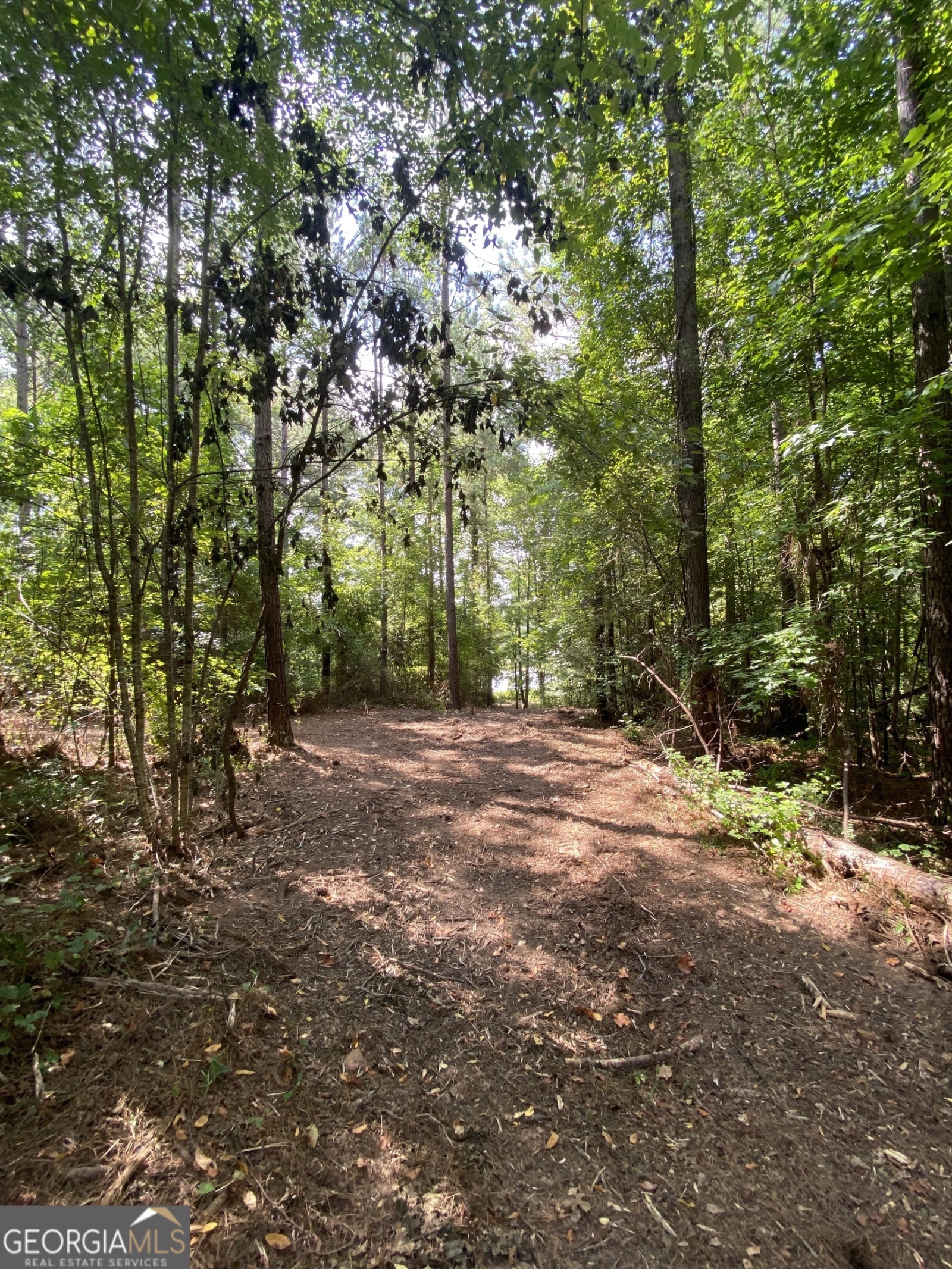 0 Blue Cr Rd, Hogansville, Georgia 30230, ,Land,For Sale,Blue Cr Rd,9137148