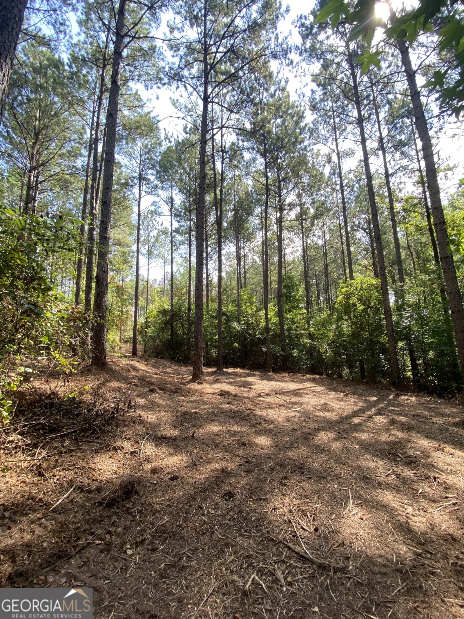 0 Blue Cr Rd, Hogansville, Georgia 30230, ,Land,For Sale,Blue Cr Rd,9137148