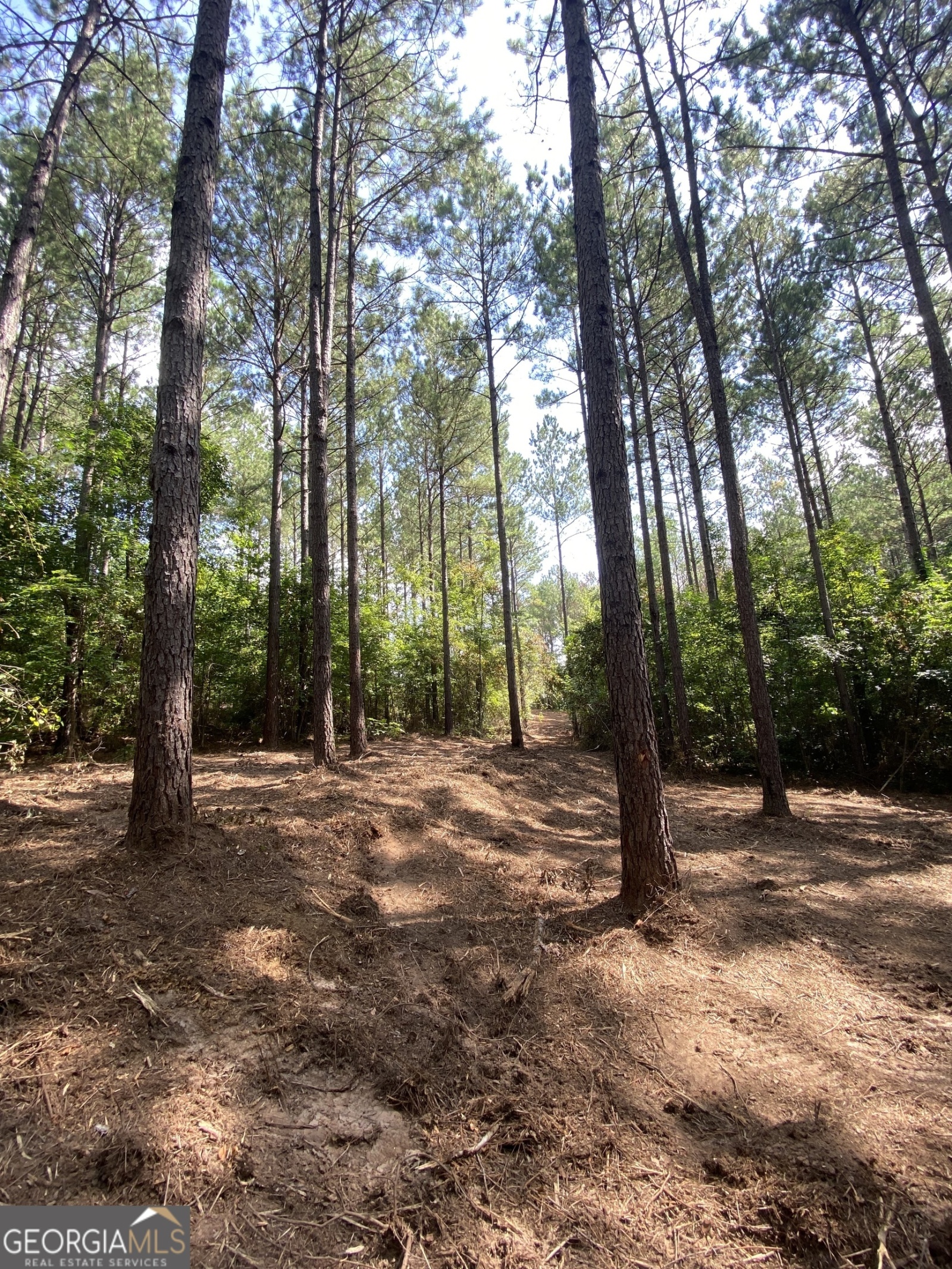 0 Blue Cr Rd, Hogansville, Georgia 30230, ,Land,For Sale,Blue Cr Rd,9137148