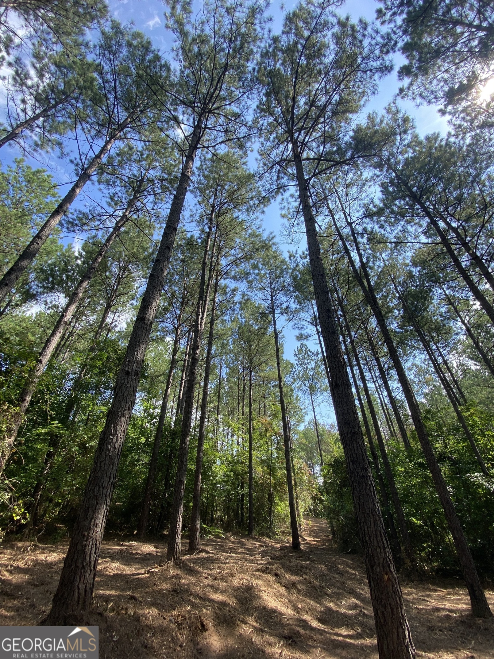 0 Blue Cr Rd, Hogansville, Georgia 30230, ,Land,For Sale,Blue Cr Rd,9137148