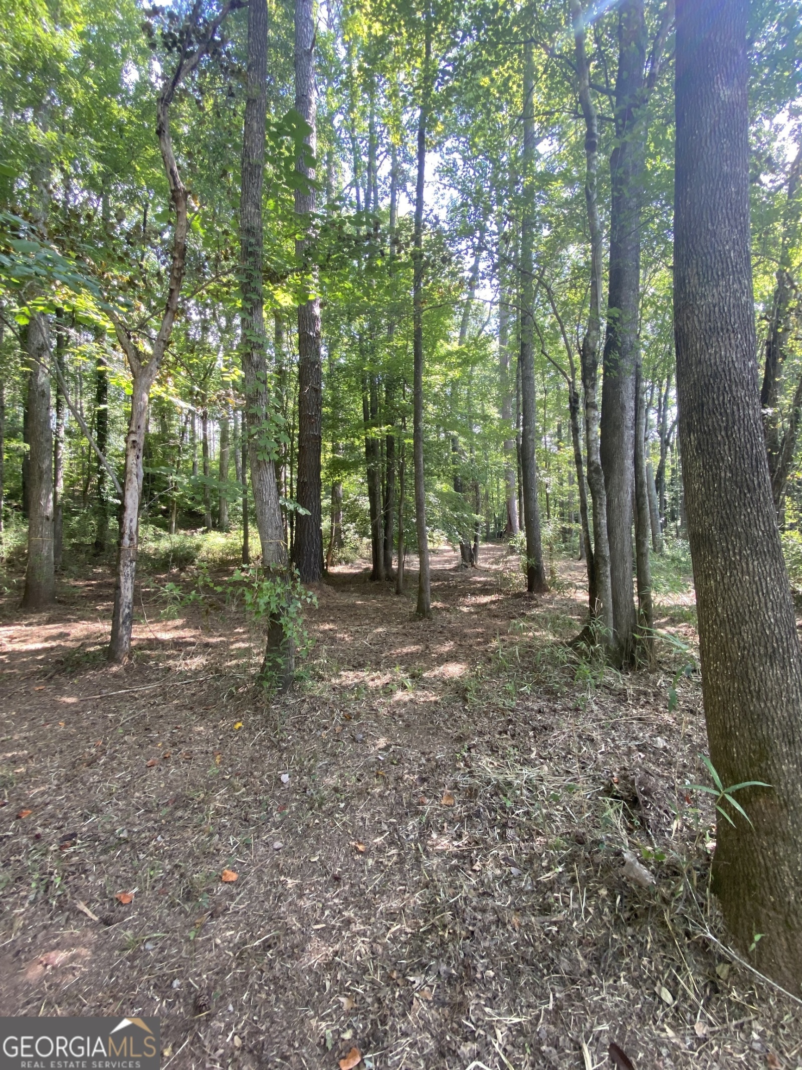 0 Blue Cr Rd, Hogansville, Georgia 30230, ,Land,For Sale,Blue Cr Rd,9137148