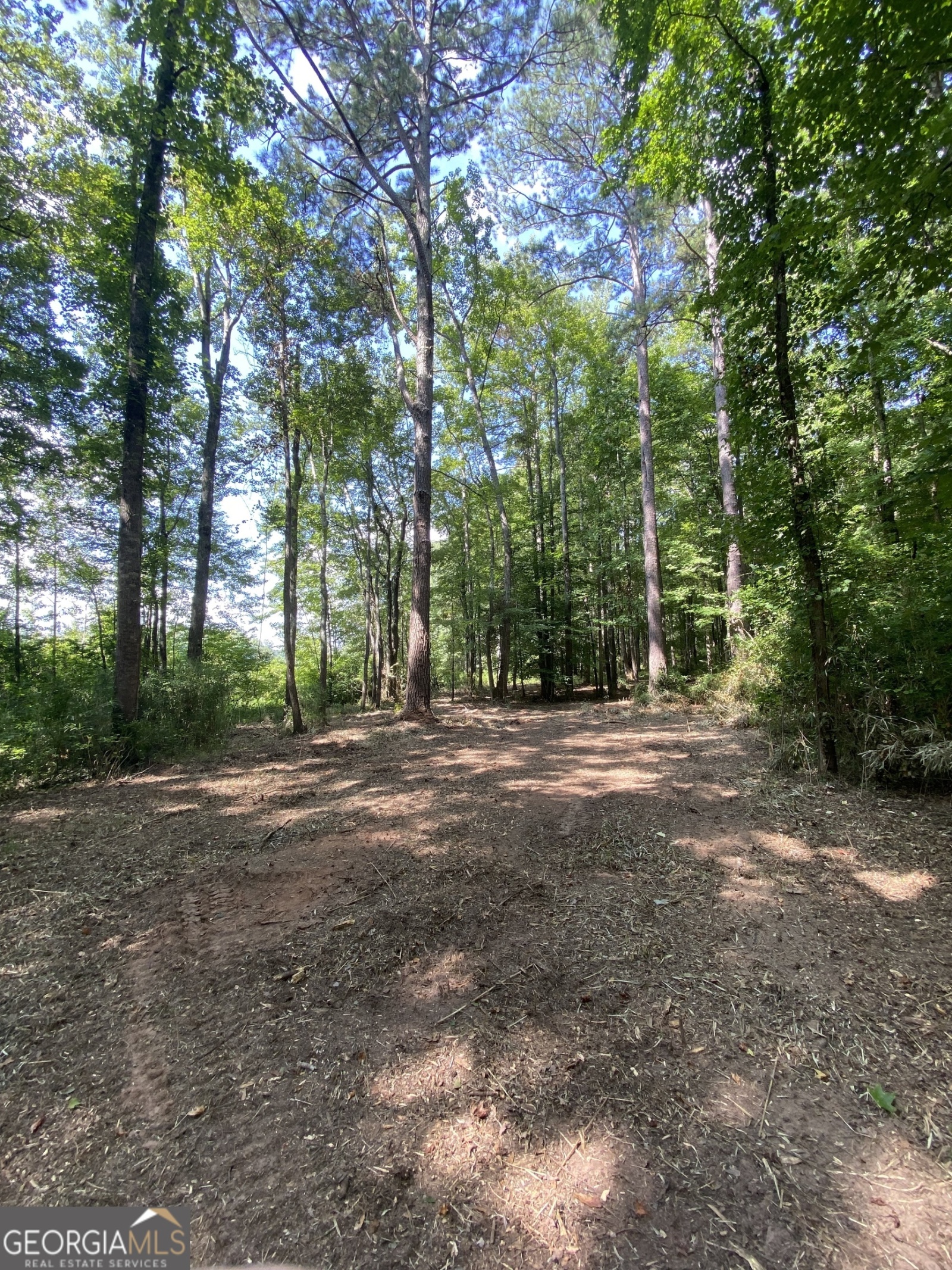 0 Blue Cr Rd, Hogansville, Georgia 30230, ,Land,For Sale,Blue Cr Rd,9137148