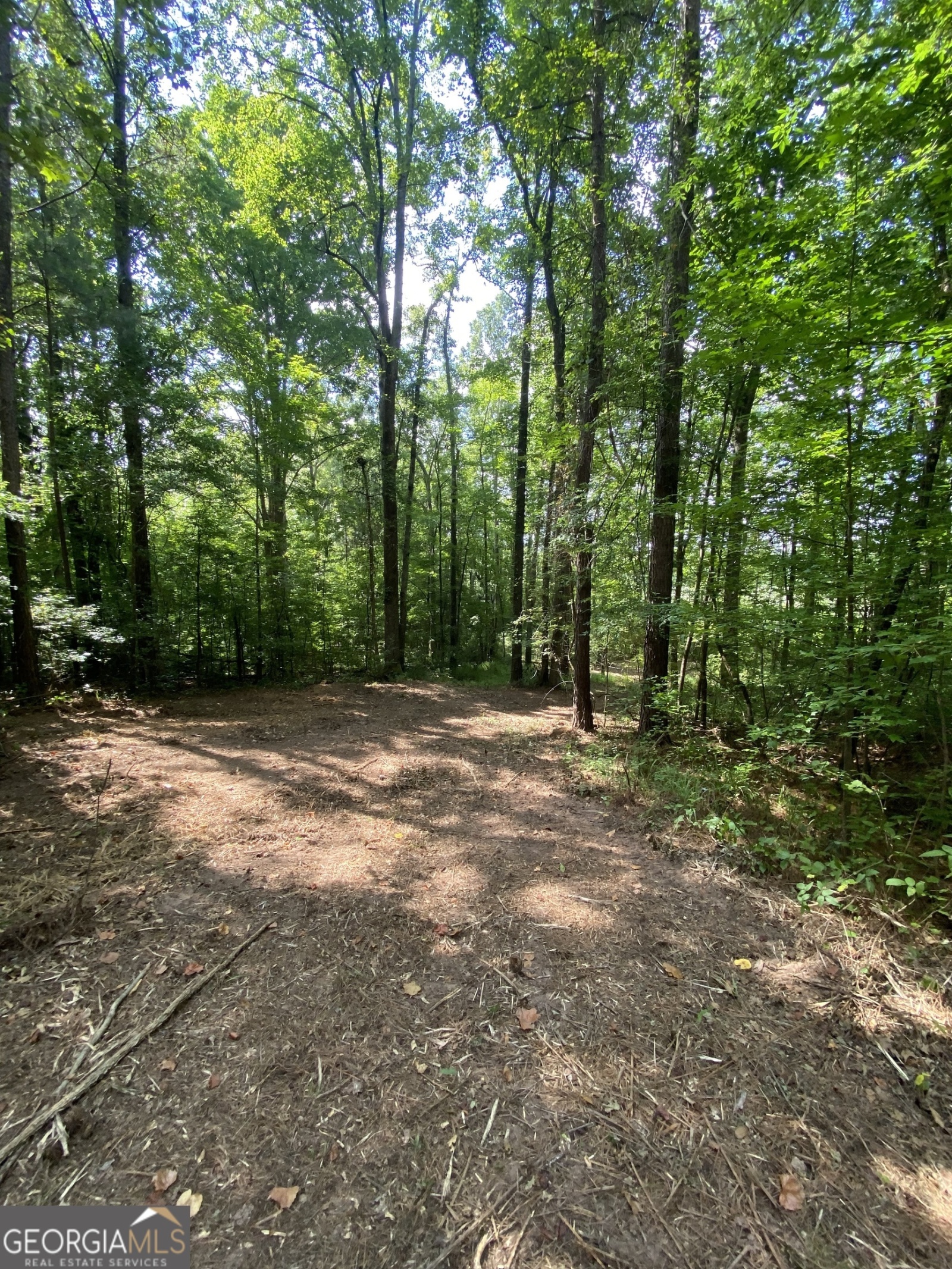 0 Blue Cr Rd, Hogansville, Georgia 30230, ,Land,For Sale,Blue Cr Rd,9137148