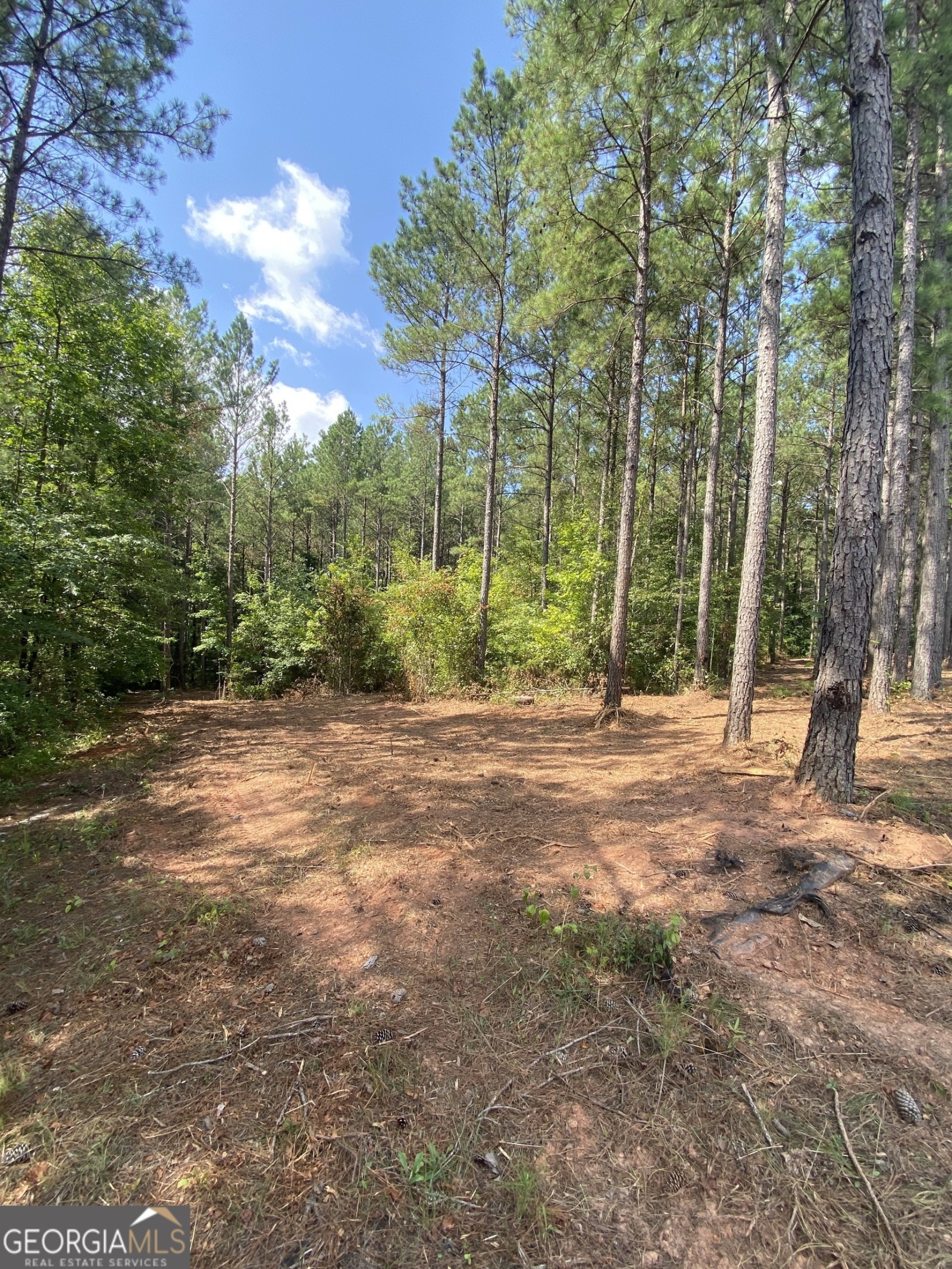 0 Blue Cr Rd, Hogansville, Georgia 30230, ,Land,For Sale,Blue Cr Rd,9137148