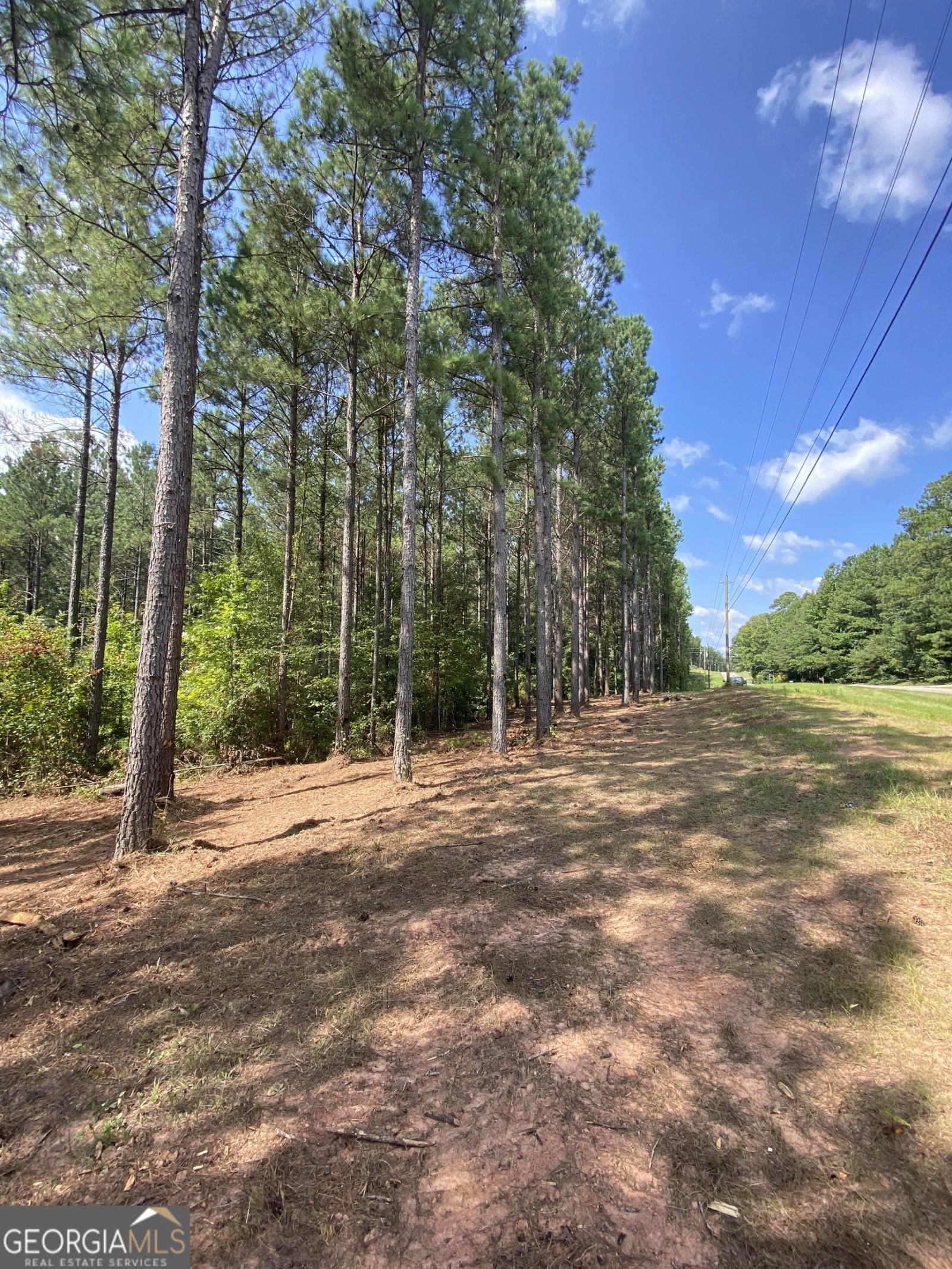 0 Blue Cr Rd, Hogansville, Georgia 30230, ,Land,For Sale,Blue Cr Rd,9137148