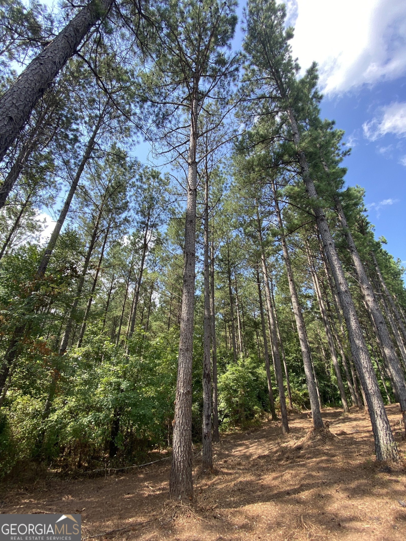 0 Blue Cr Rd, Hogansville, Georgia 30230, ,Land,For Sale,Blue Cr Rd,9137148