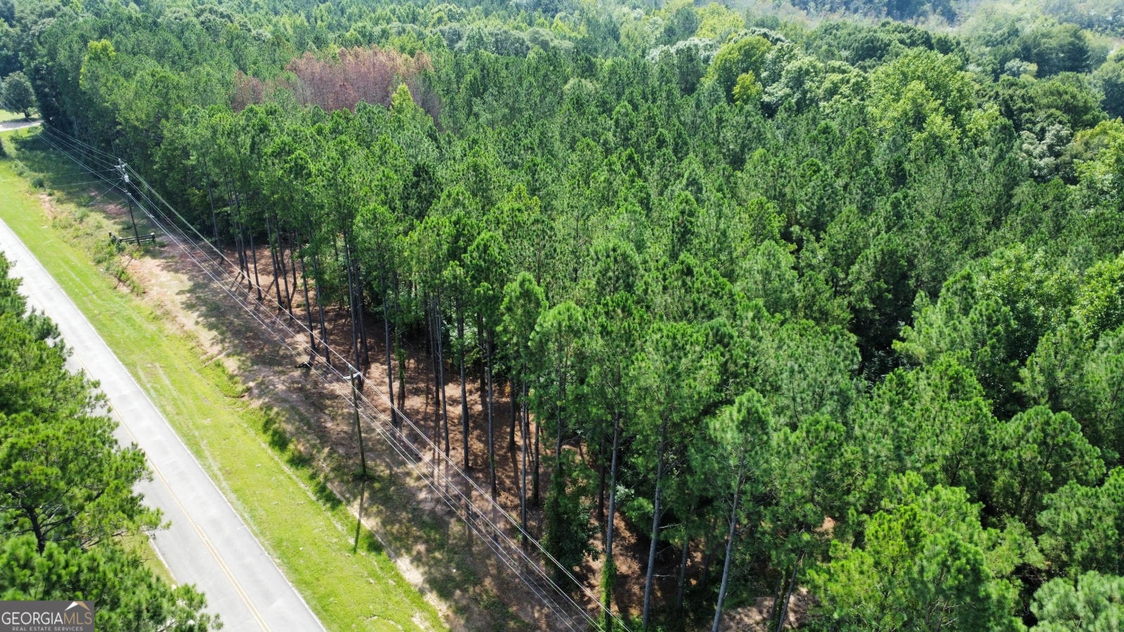 0 Blue Cr Rd, Hogansville, Georgia 30230, ,Land,For Sale,Blue Cr Rd,9137148