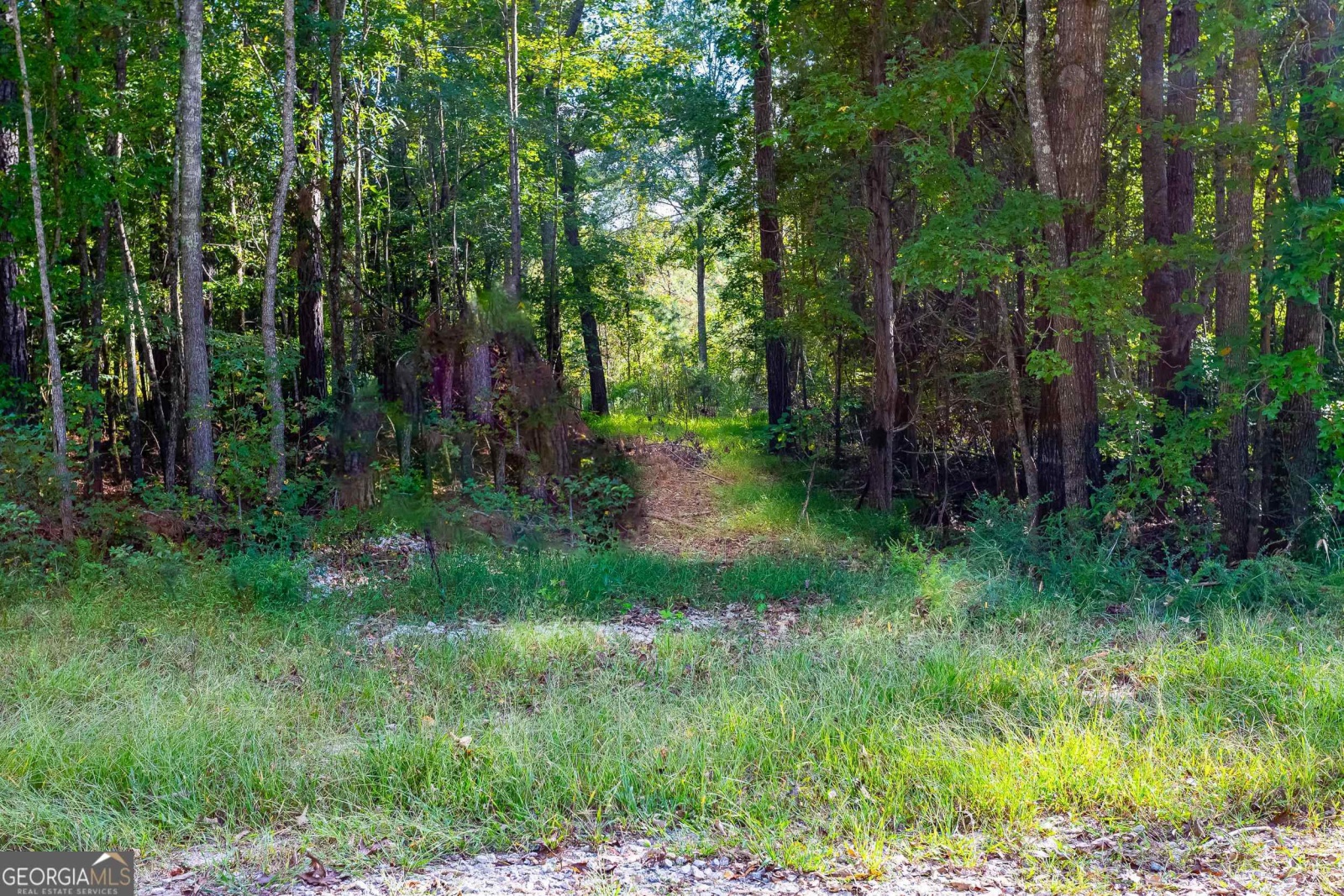 0 N Whatley, Lagrange, Georgia 30240, ,Land,For Sale,N Whatley,9137341