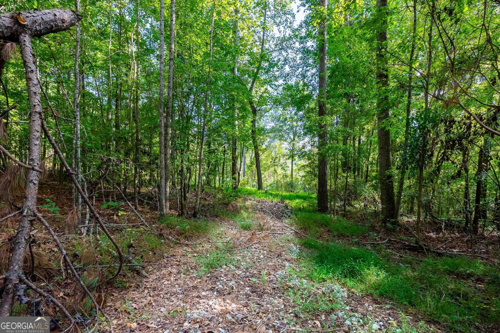 0 N Whatley, Lagrange, Georgia 30240, ,Land,For Sale,N Whatley,9137341