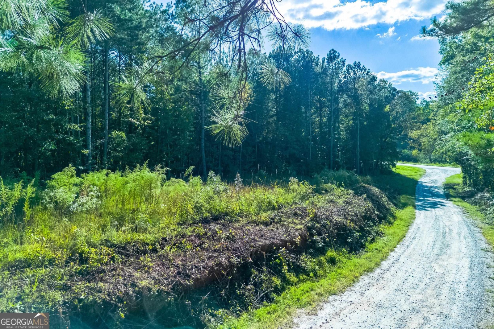 0 N Whatley, Lagrange, Georgia 30240, ,Land,For Sale,N Whatley,9137341