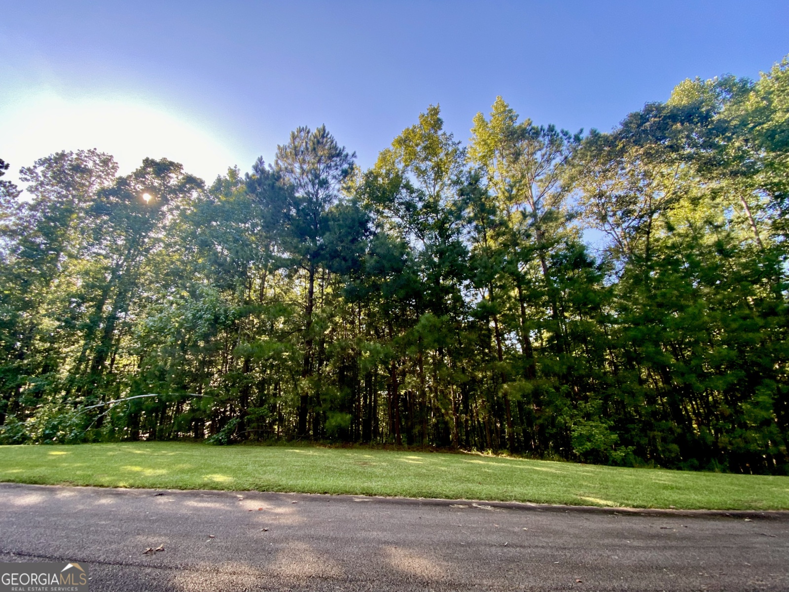 1206 The Reserve, Lagrange, Georgia 30240, ,Land,For Sale,The Reserve,9137401