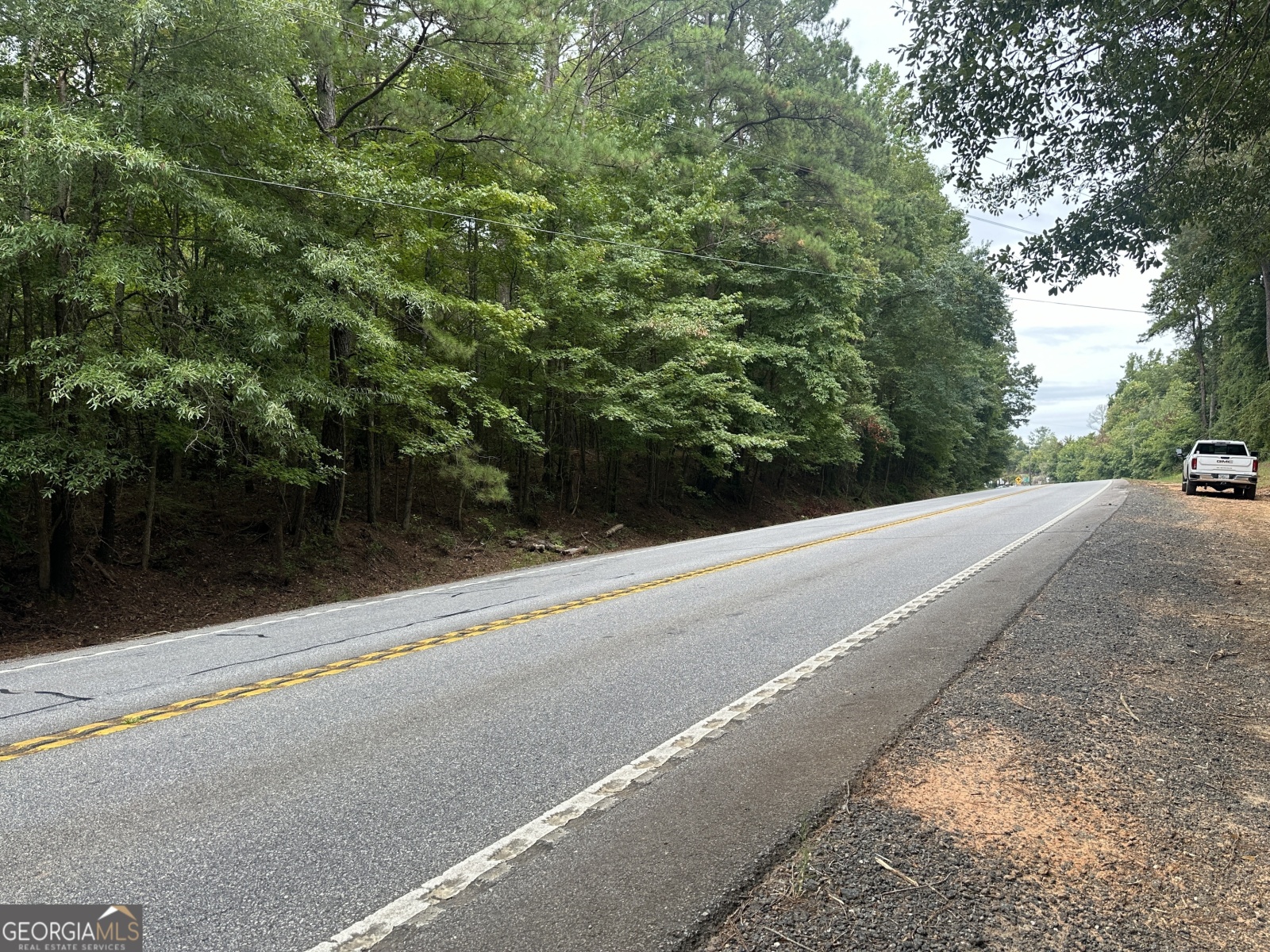 000 Ga Highway 85, Waverly Hall, Georgia 31831, ,Land,For Sale,Ga Highway 85,9137405