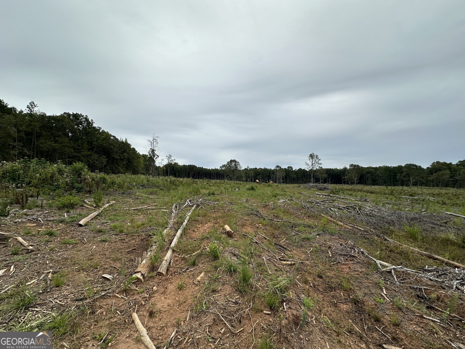 0 Long Cane Road, Lagrange, Georgia 30240, ,Land,For Sale,Long Cane,9137447