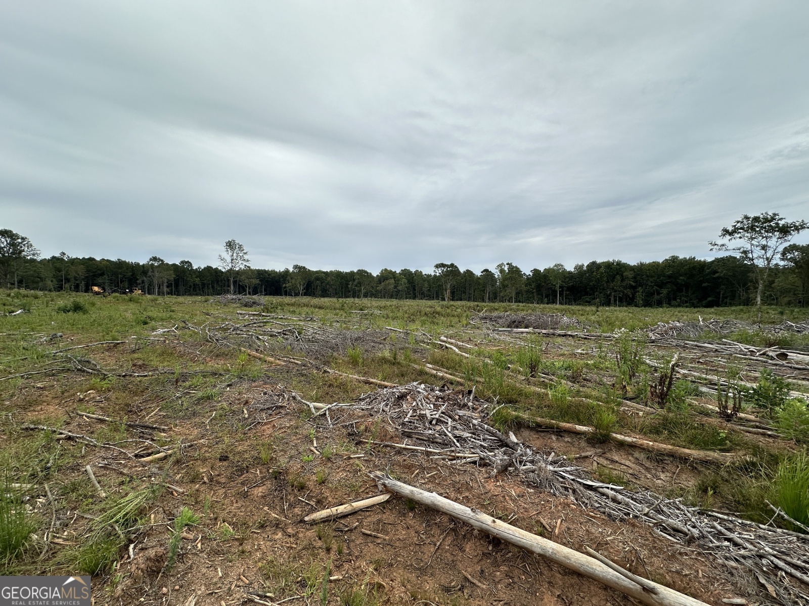 0 Long Cane Road, Lagrange, Georgia 30240, ,Land,For Sale,Long Cane,9137447