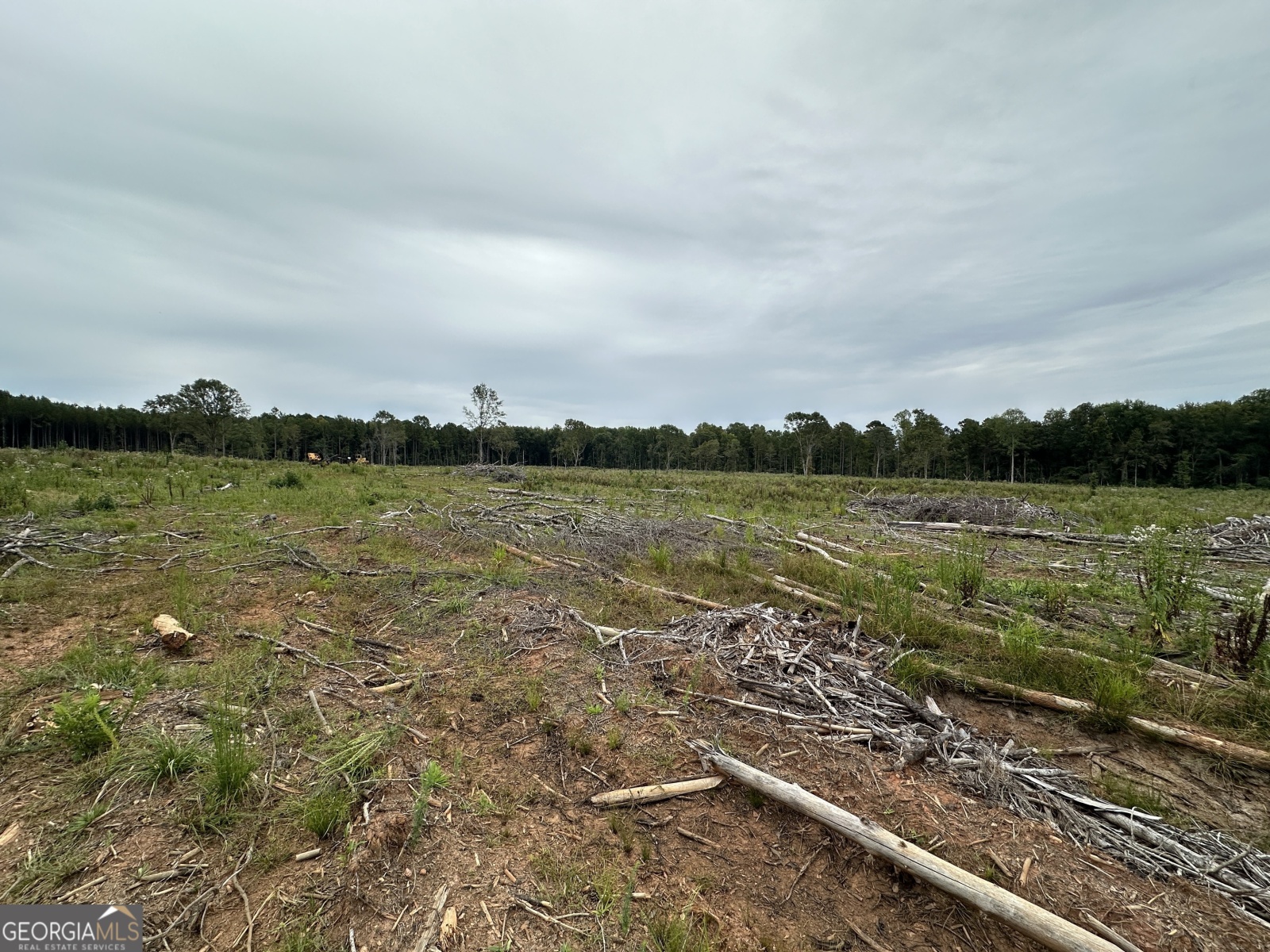 0 Long Cane Road, Lagrange, Georgia 30240, ,Land,For Sale,Long Cane,9137447