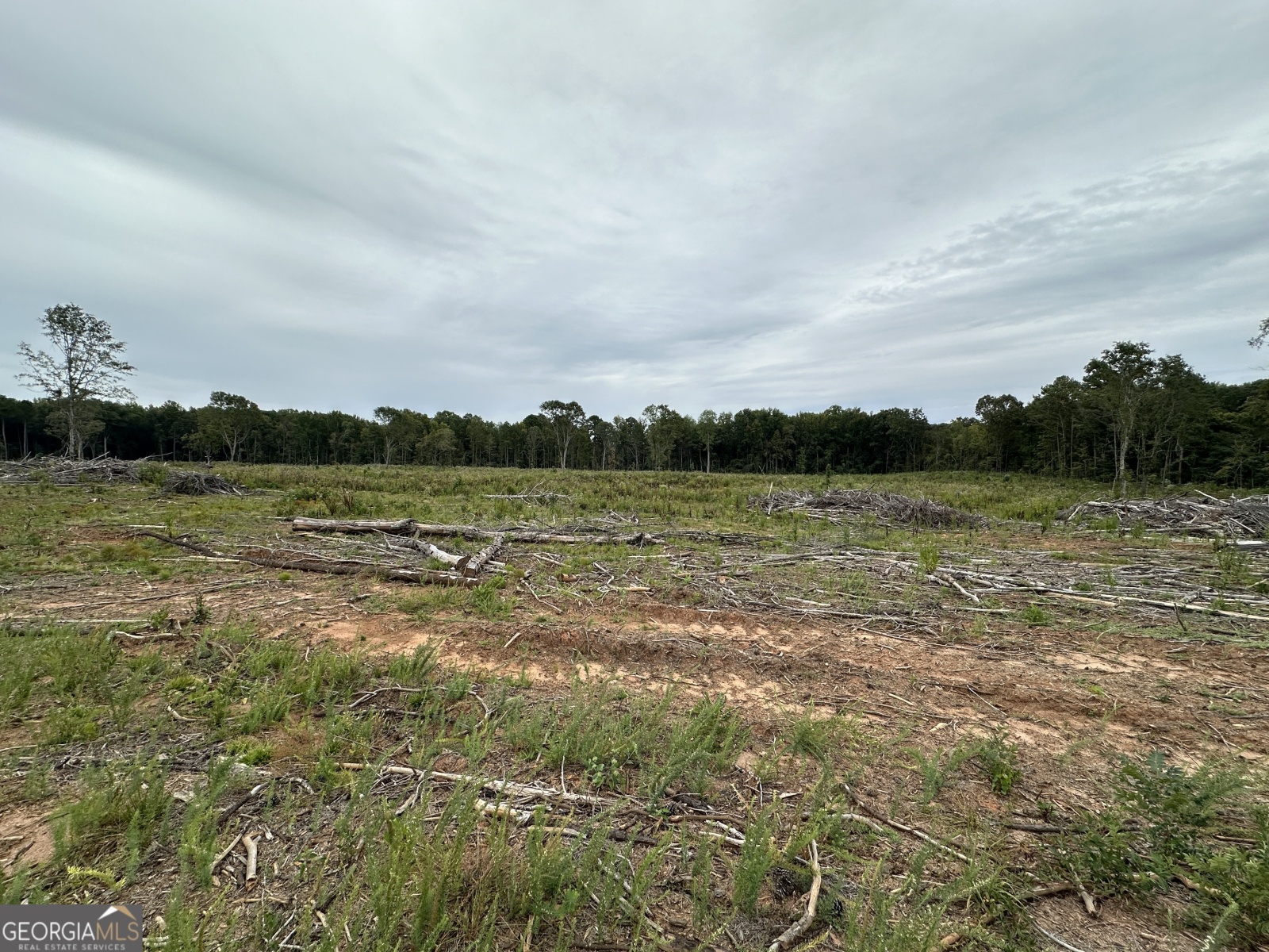 0 Long Cane Road, Lagrange, Georgia 30240, ,Land,For Sale,Long Cane,9137447