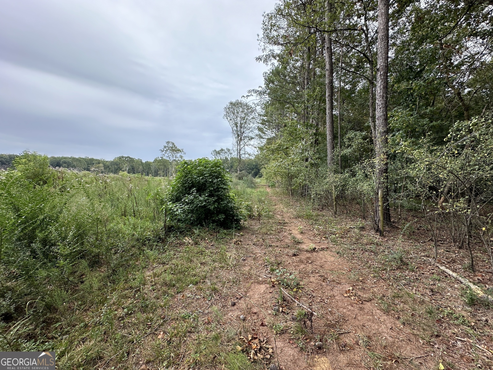 0 Long Cane Road, Lagrange, Georgia 30240, ,Land,For Sale,Long Cane,9137447