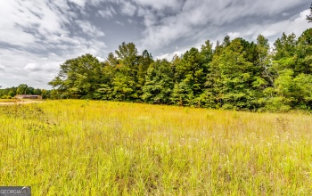 0 Forrest Road, Hogansville, Georgia 30230, ,Land,For Sale,Forrest,9137528