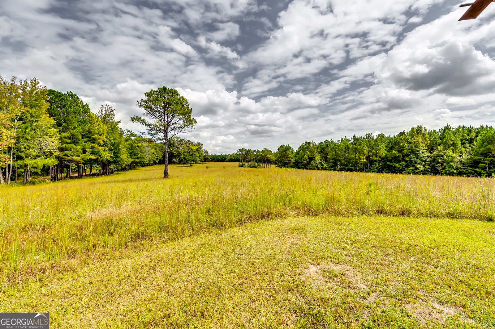 0 Forrest Road, Hogansville, Georgia 30230, ,Land,For Sale,Forrest Road,9137529