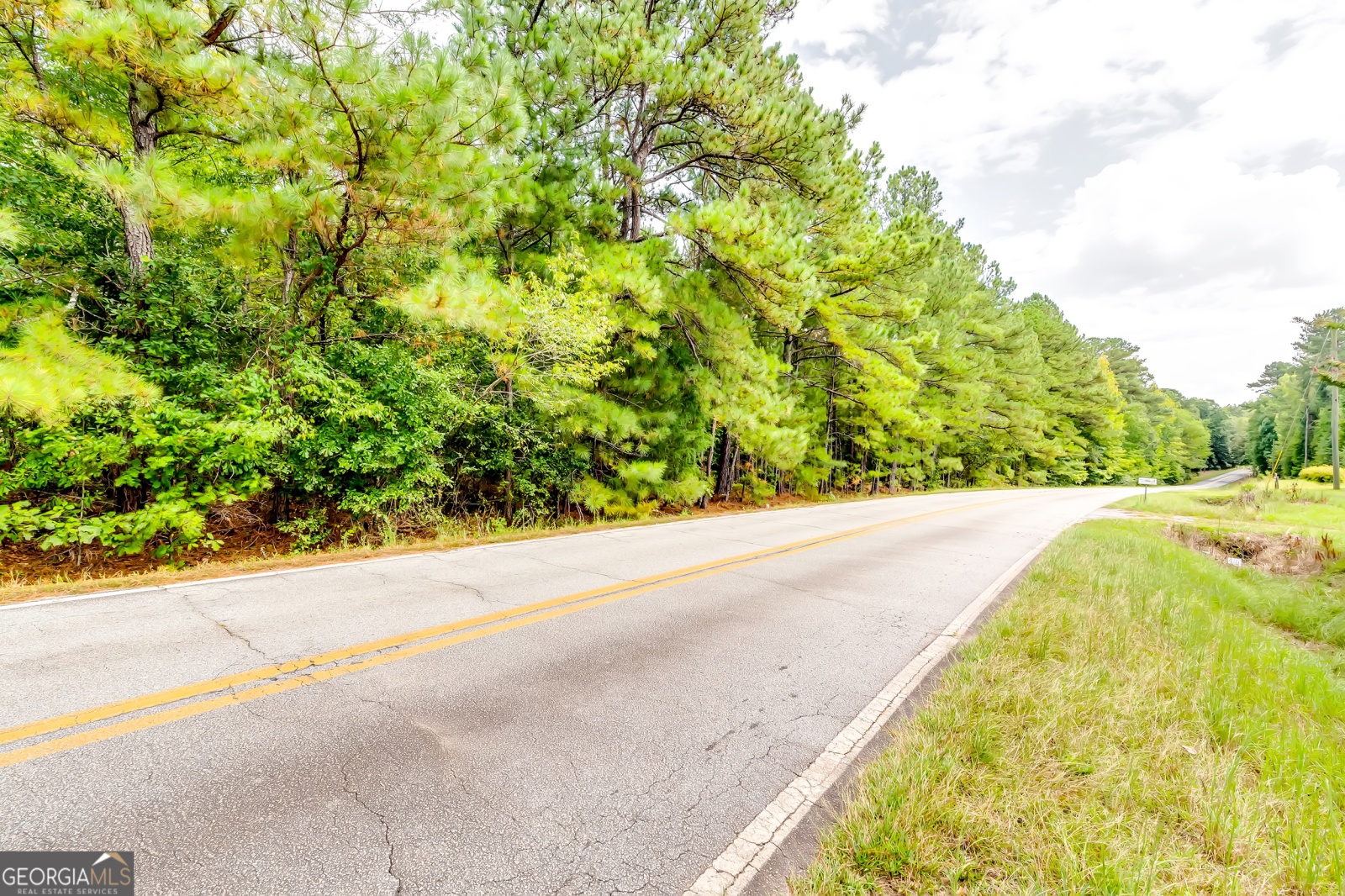 0 Forrest Road, Hogansville, Georgia 30230, ,Land,For Sale,Forrest Road,9137529