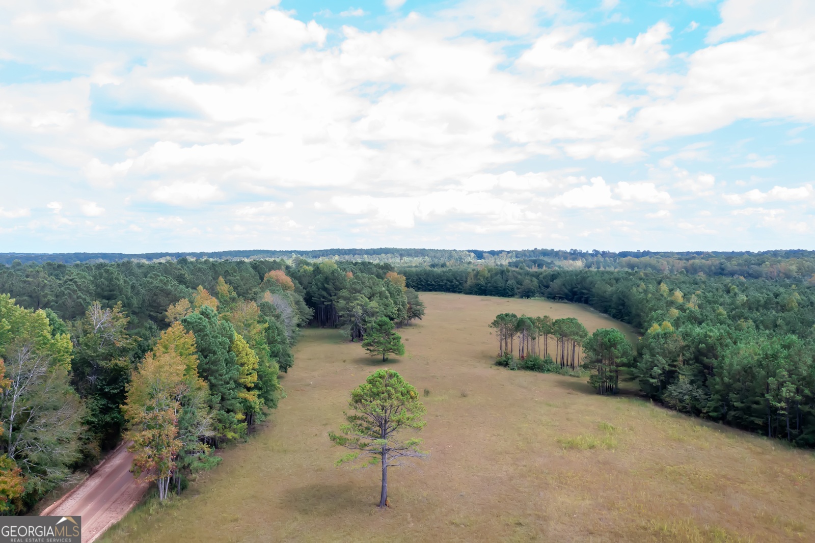 0 Forrest Road, Hogansville, Georgia 30230, ,Land,For Sale,Forrest Road,9137529