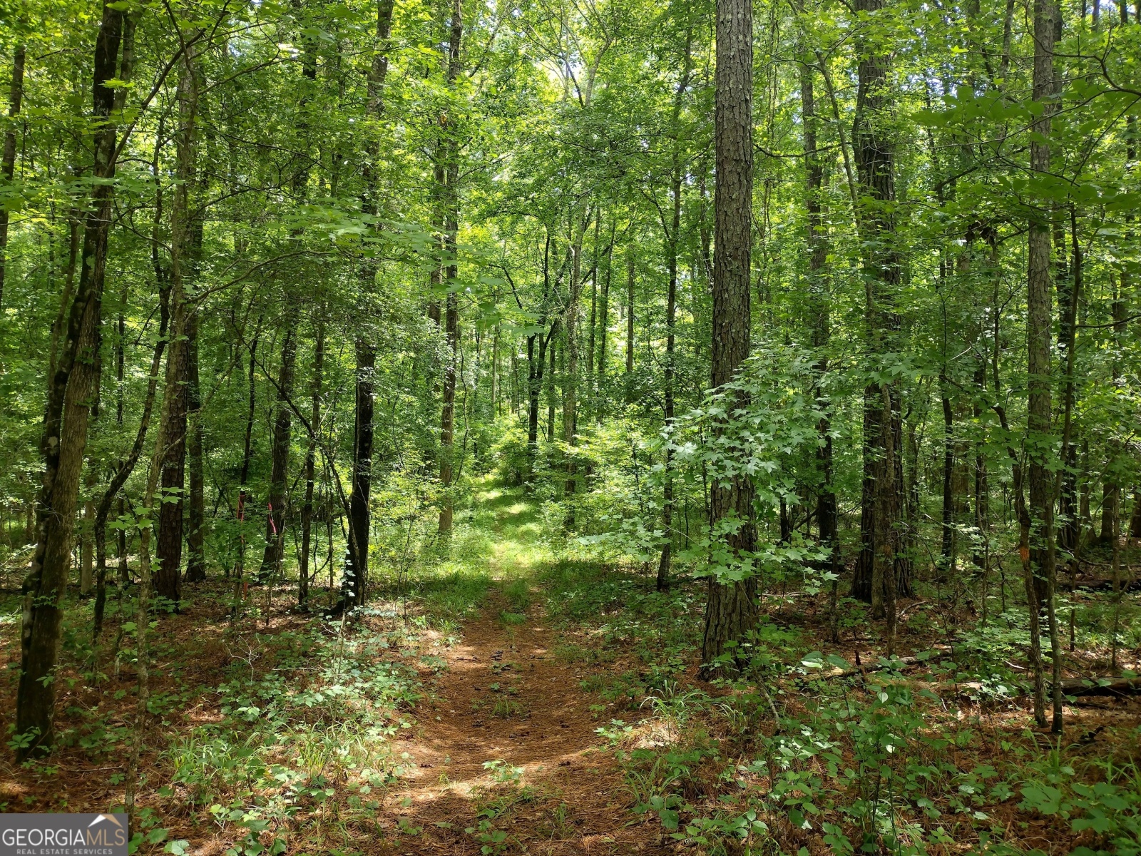 180 Jackson Drive, Gay, Georgia 30218, ,Land,For Sale,Jackson,9137704