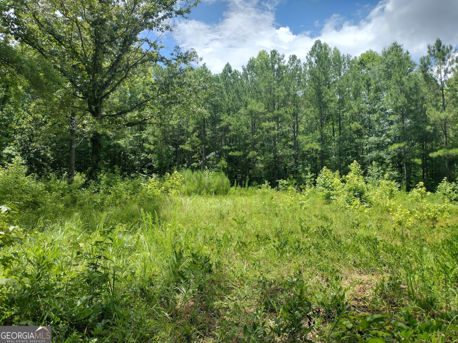 180 Jackson Drive, Gay, Georgia 30218, ,Land,For Sale,Jackson,9137704