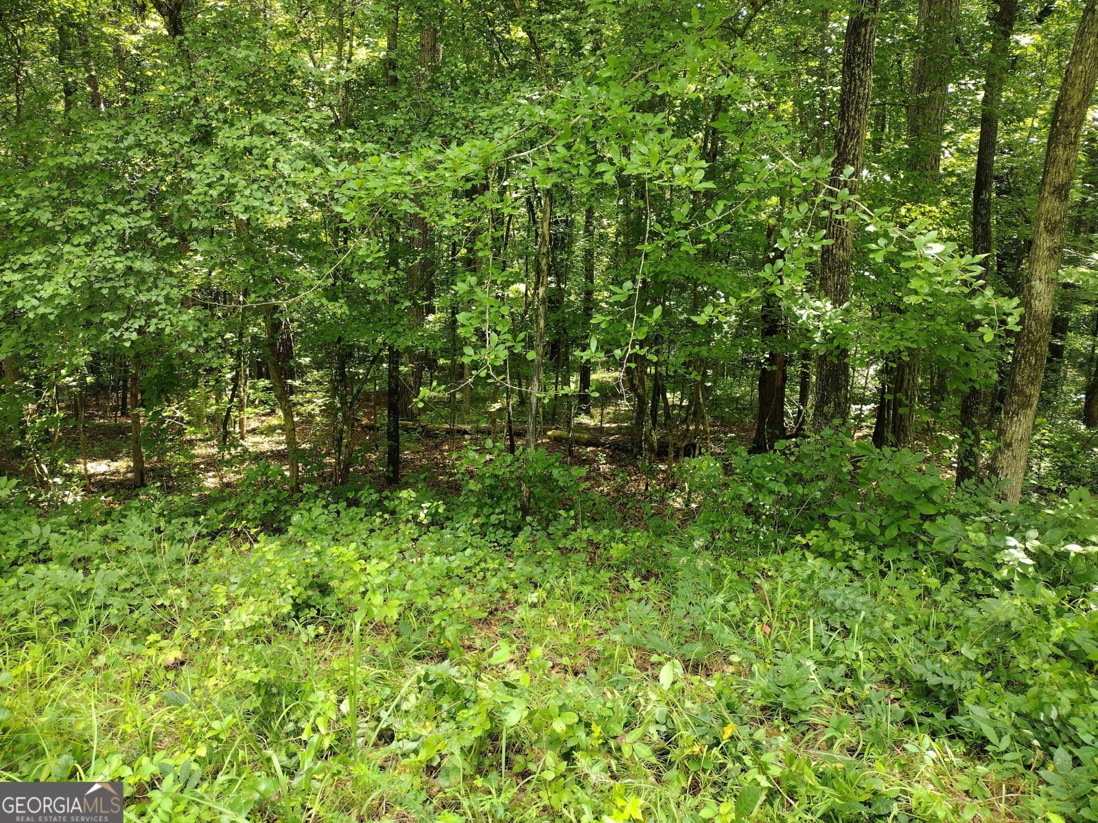 180 Jackson Drive, Gay, Georgia 30218, ,Land,For Sale,Jackson,9137704