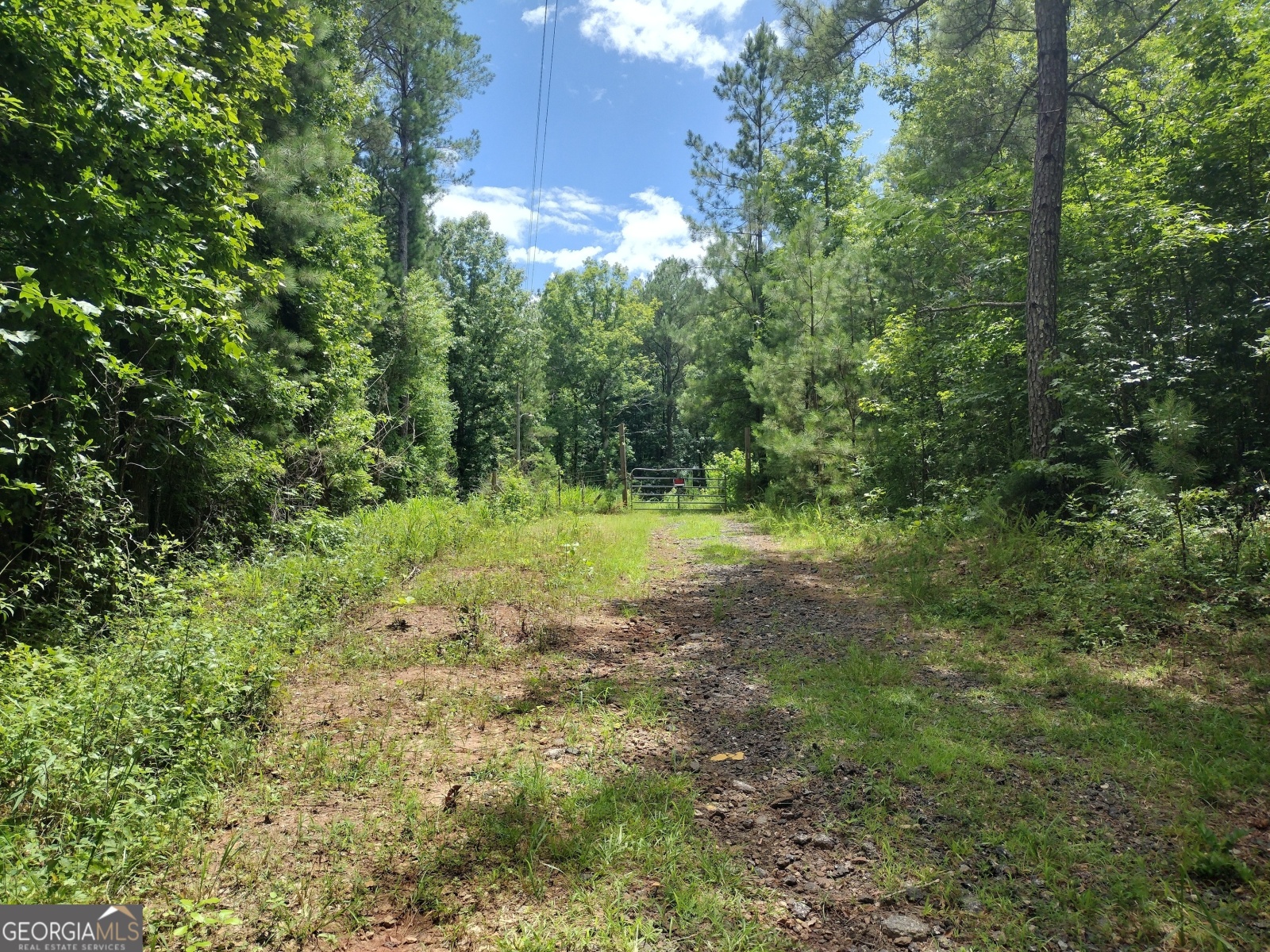 180 Jackson Drive, Gay, Georgia 30218, ,Land,For Sale,Jackson,9137704