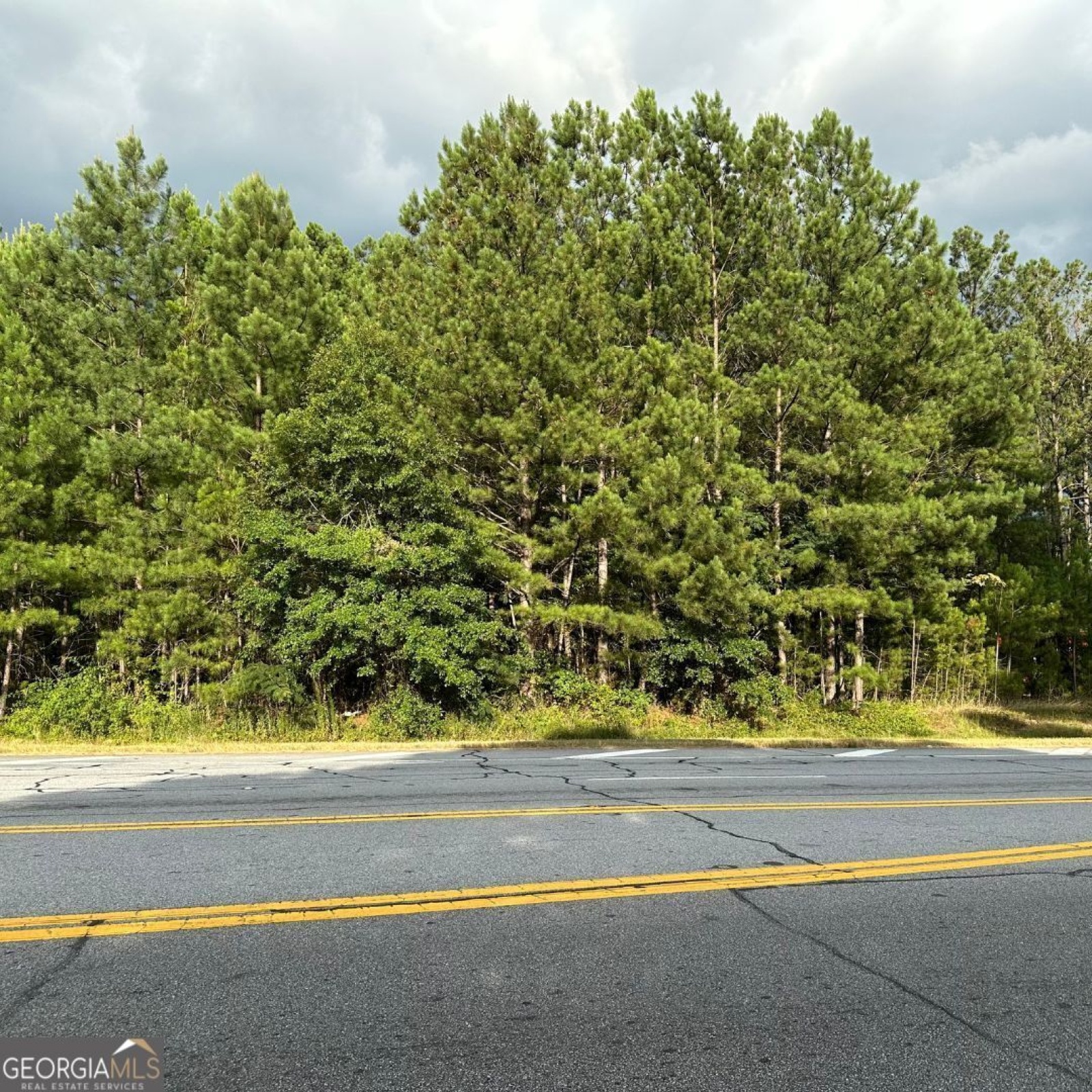 0 Highway 314, Fayetteville, Georgia 30214, ,Commercial Sale,For Sale,Highway 314,9137841