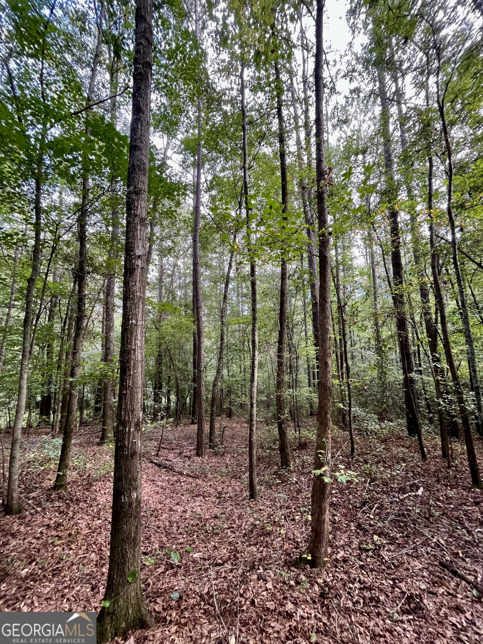 0 Stateline Road, Bowdon, Georgia 30108, ,Land,For Sale,Stateline Road,9137893