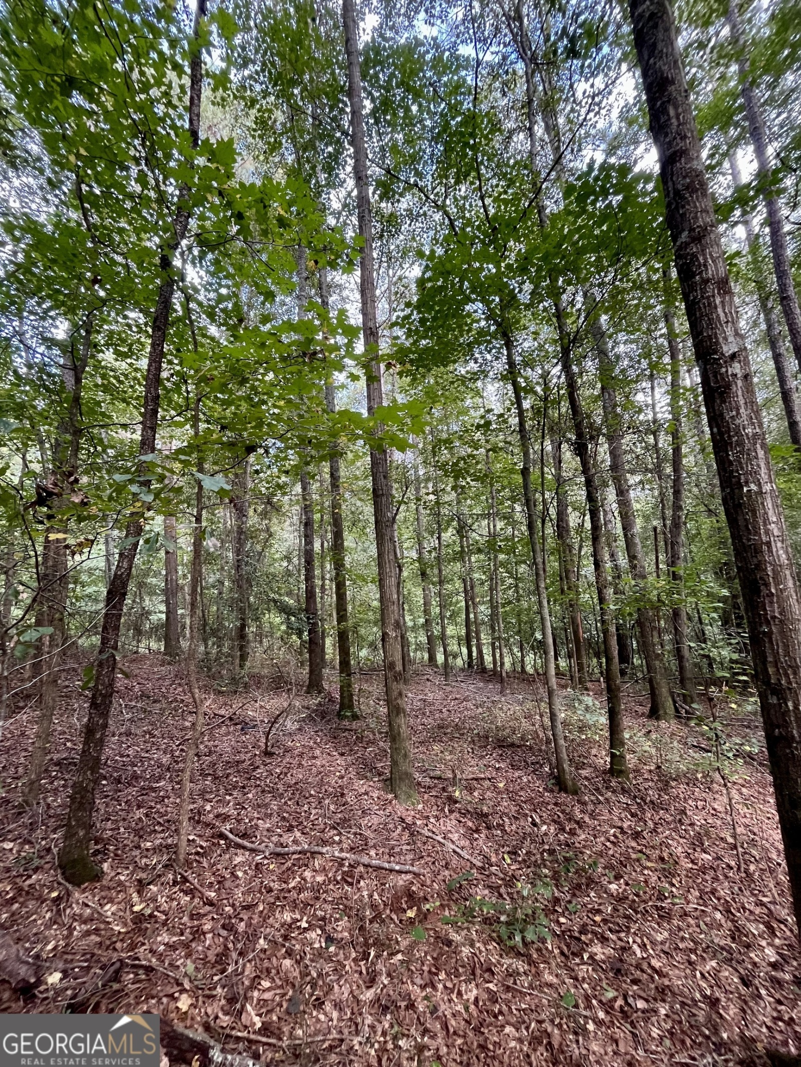 0 Stateline Road, Bowdon, Georgia 30108, ,Land,For Sale,Stateline Road,9137893