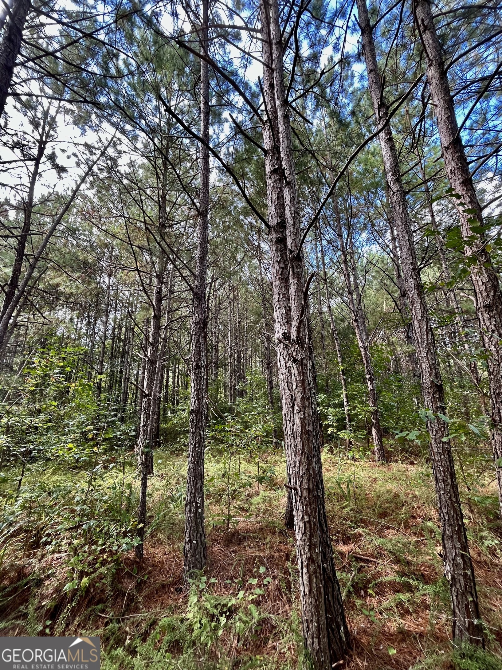 0 Stateline Road, Bowdon, Georgia 30108, ,Land,For Sale,Stateline Road,9137893