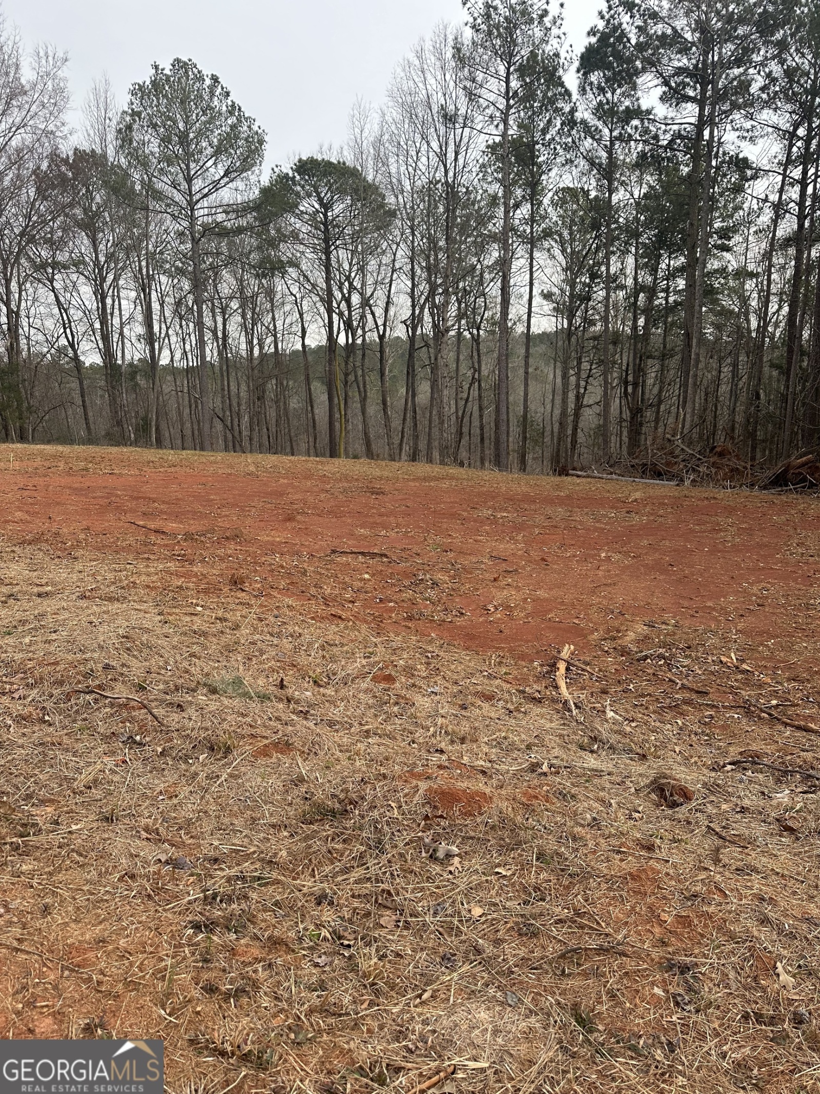 0 Whatley North Road, LaGrange, Georgia 30240, ,Land,For Sale,Whatley North,9137948