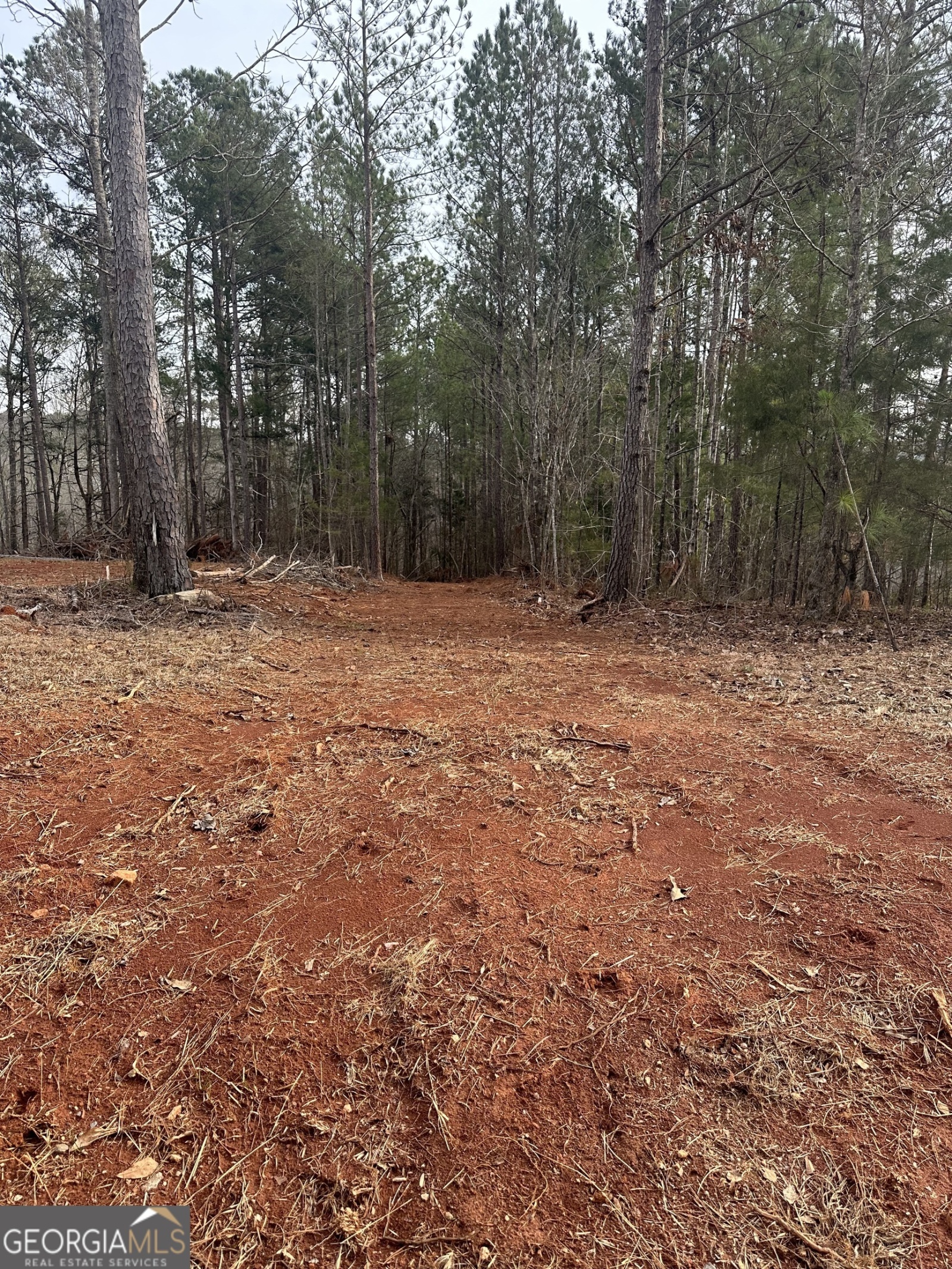 0 Whatley North Road, LaGrange, Georgia 30240, ,Land,For Sale,Whatley North,9137948