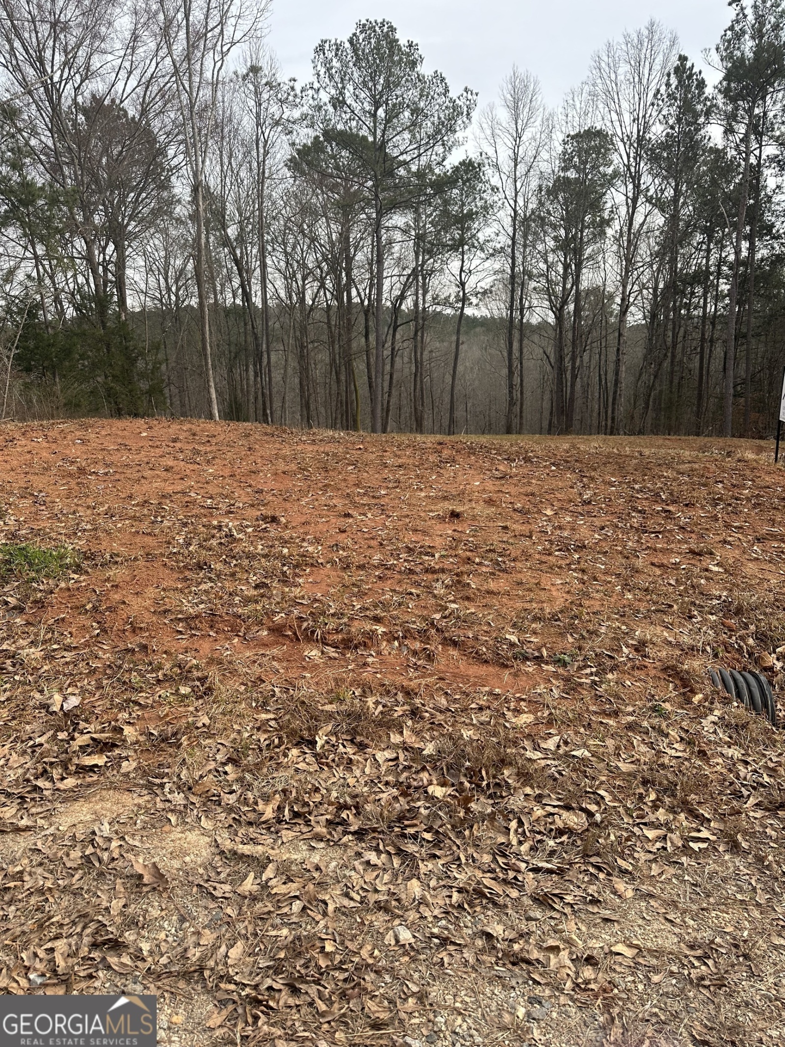 0 Whatley North Road, LaGrange, Georgia 30240, ,Land,For Sale,Whatley North,9137948